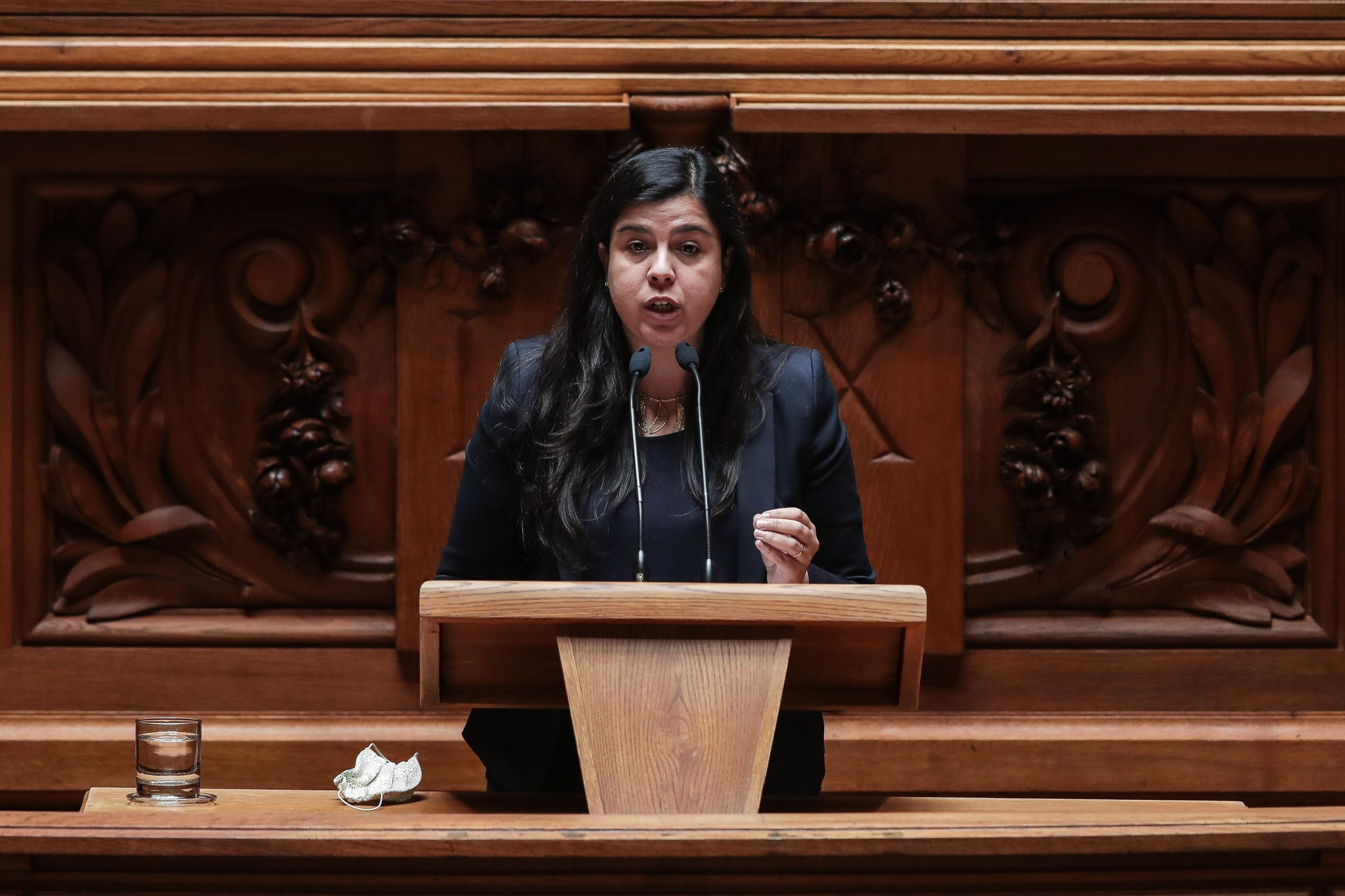 Presidenciais: PAN declara apoio a Ana Gomes