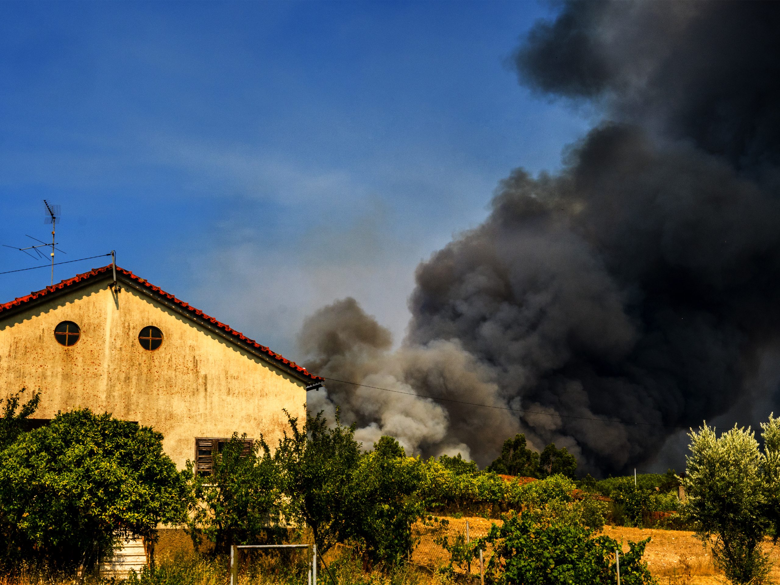 Chamas acalmam em Mação, mas fogo mantém duas frentes ativas