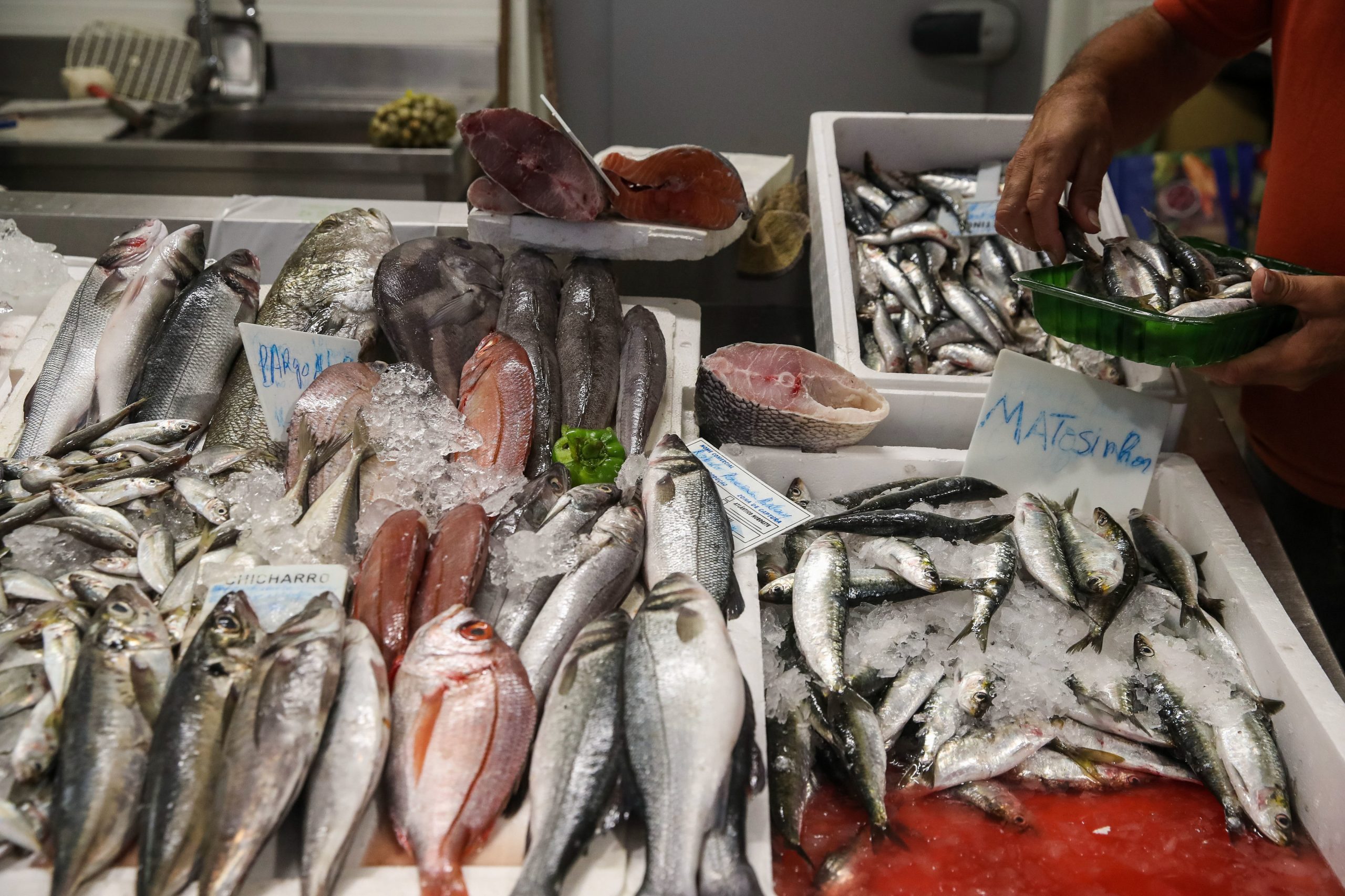 Lista de IVA 0% já chegou à Assembleia da República e inclui legumes, carne e peixe fresco e congelado
