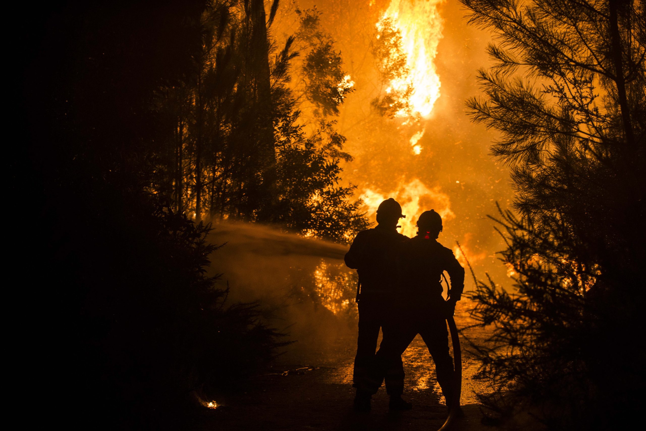 Incêndios: Cáritas angaria mais 300 mil euros para famílias carenciadas afetadas