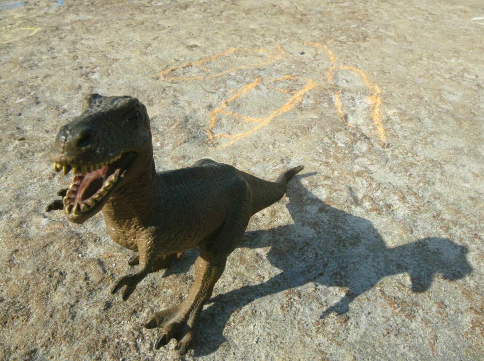 Mais de 600 pegadas de dinossauros descobertas na zona do Cabo Espichel em Sesimbra