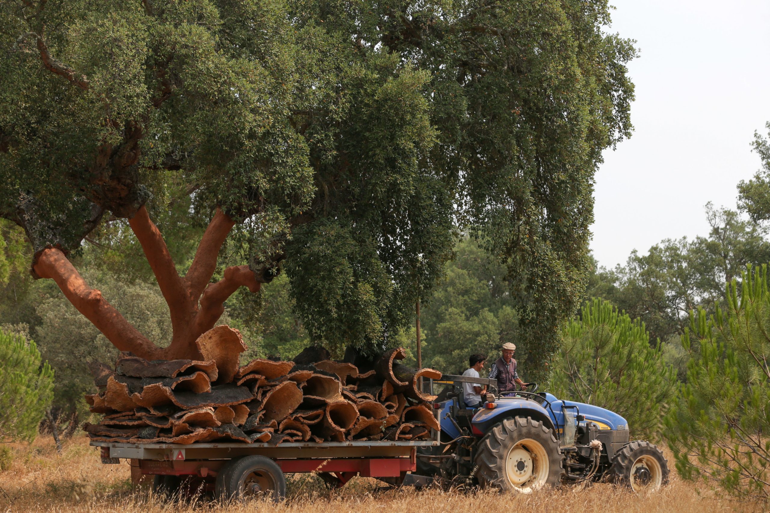 Couro ‘vegan’ a partir de serradura, cortiça e borras de café chega ao mercado em 2020