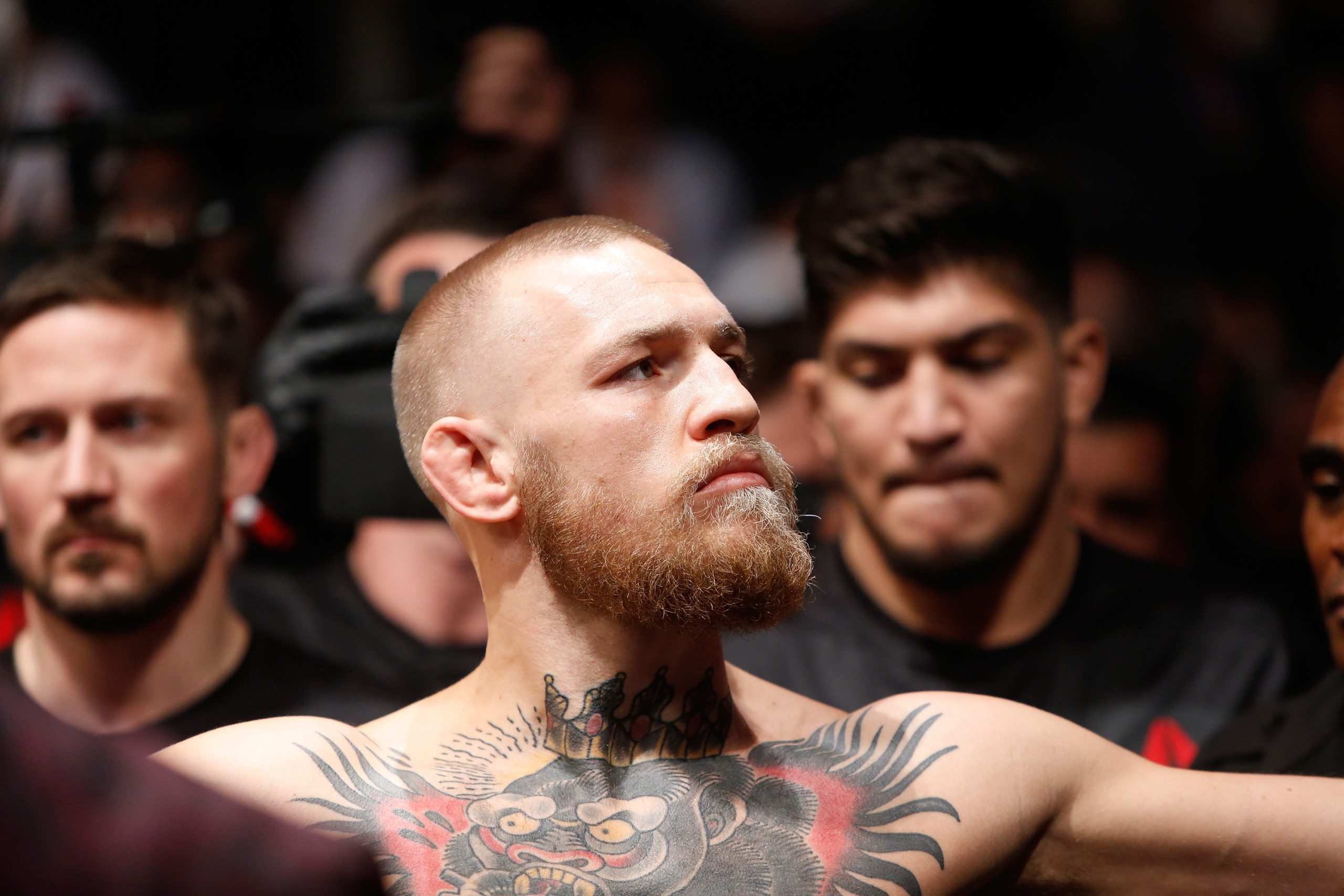 MMA: onde andas, Conor McGregor?