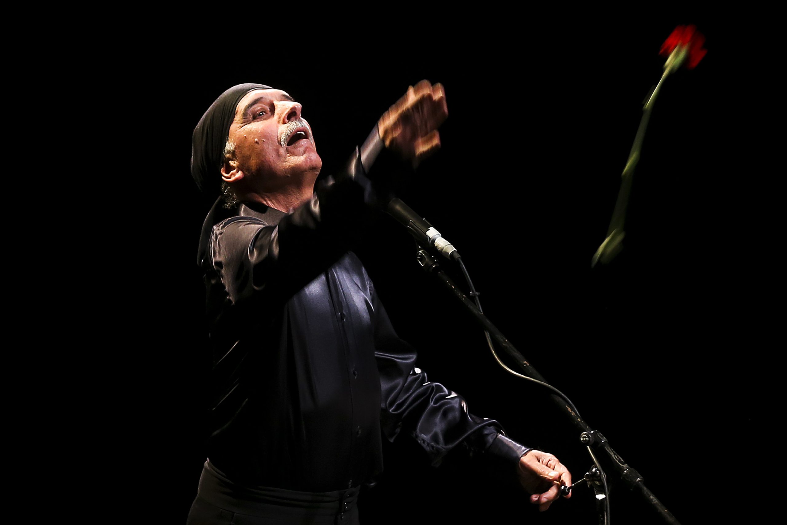 “Valsa dos Poetas”. Janita Salomé destaca as sonoridades mediterrânicas do novo álbum