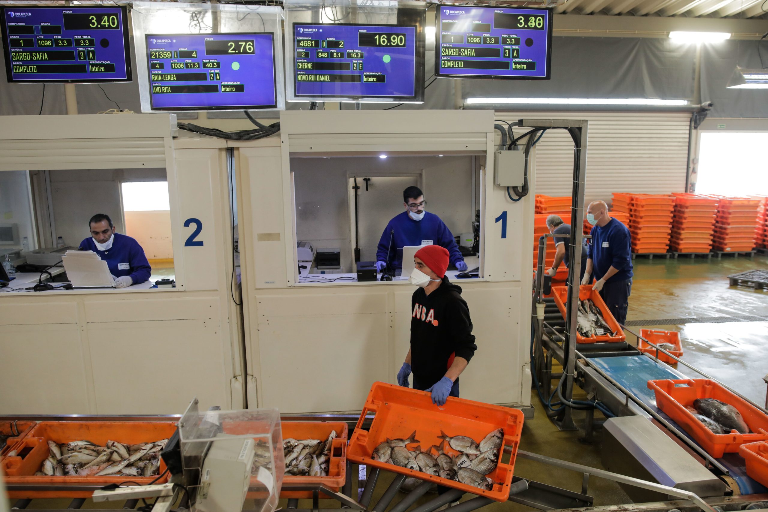 Páscoa sem peixe fresco? Trabalhadores da Docapesca em greve