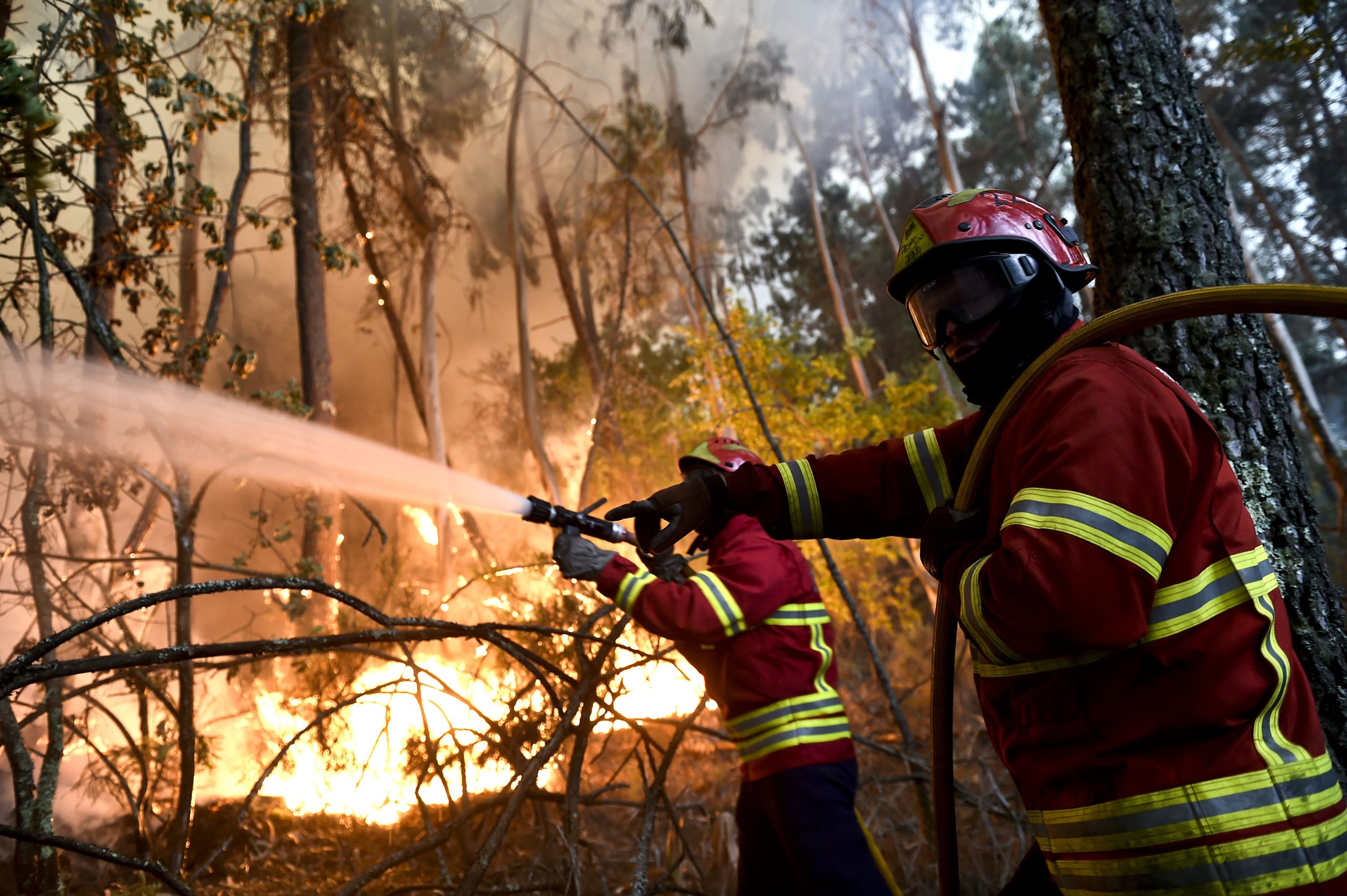 Portugal envia força especial para apoiar o Chile no combate a incêndios