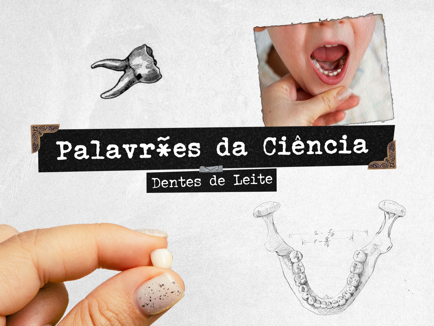 Afinal, a fada dos dentes existe