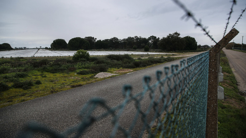Aeroporto do Montijo: Quercus satisfeita com disponibilidade do Governo para avaliação ambiental