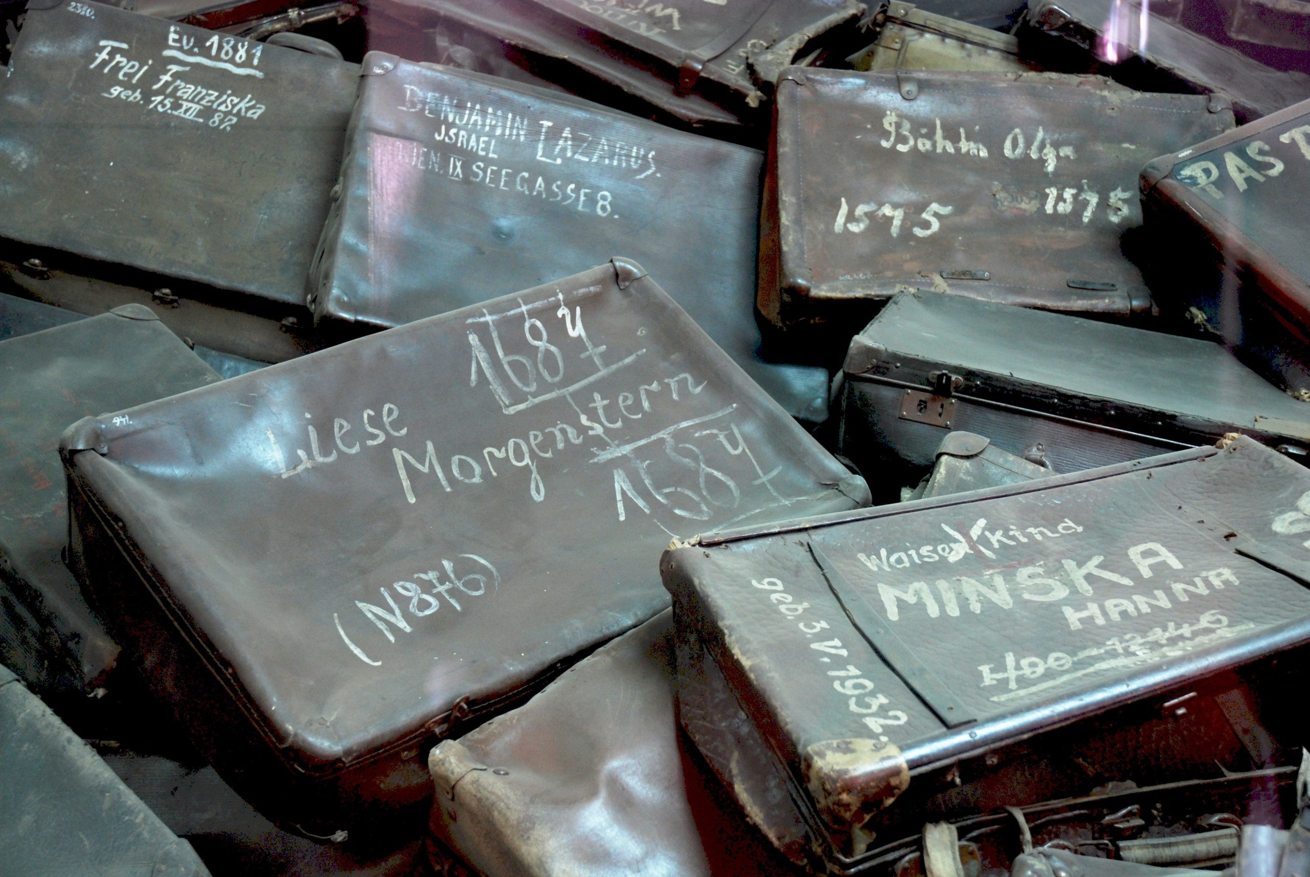Museu do Holocausto do Porto abre hoje portas e tem entradas gratuitas até junho