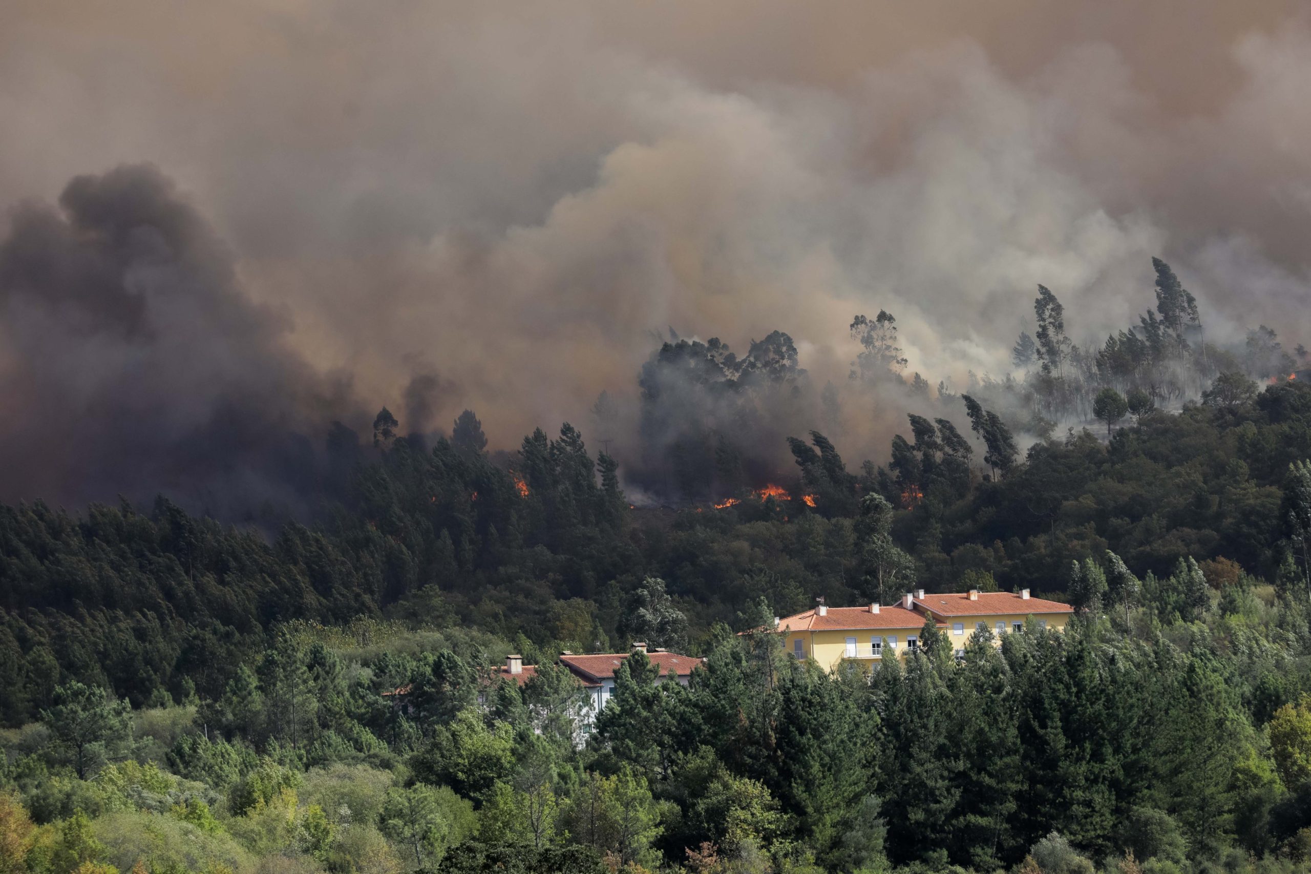 Incêndios: Mais de uma centena de pessoas desalojadas e deslocadas em Penacova