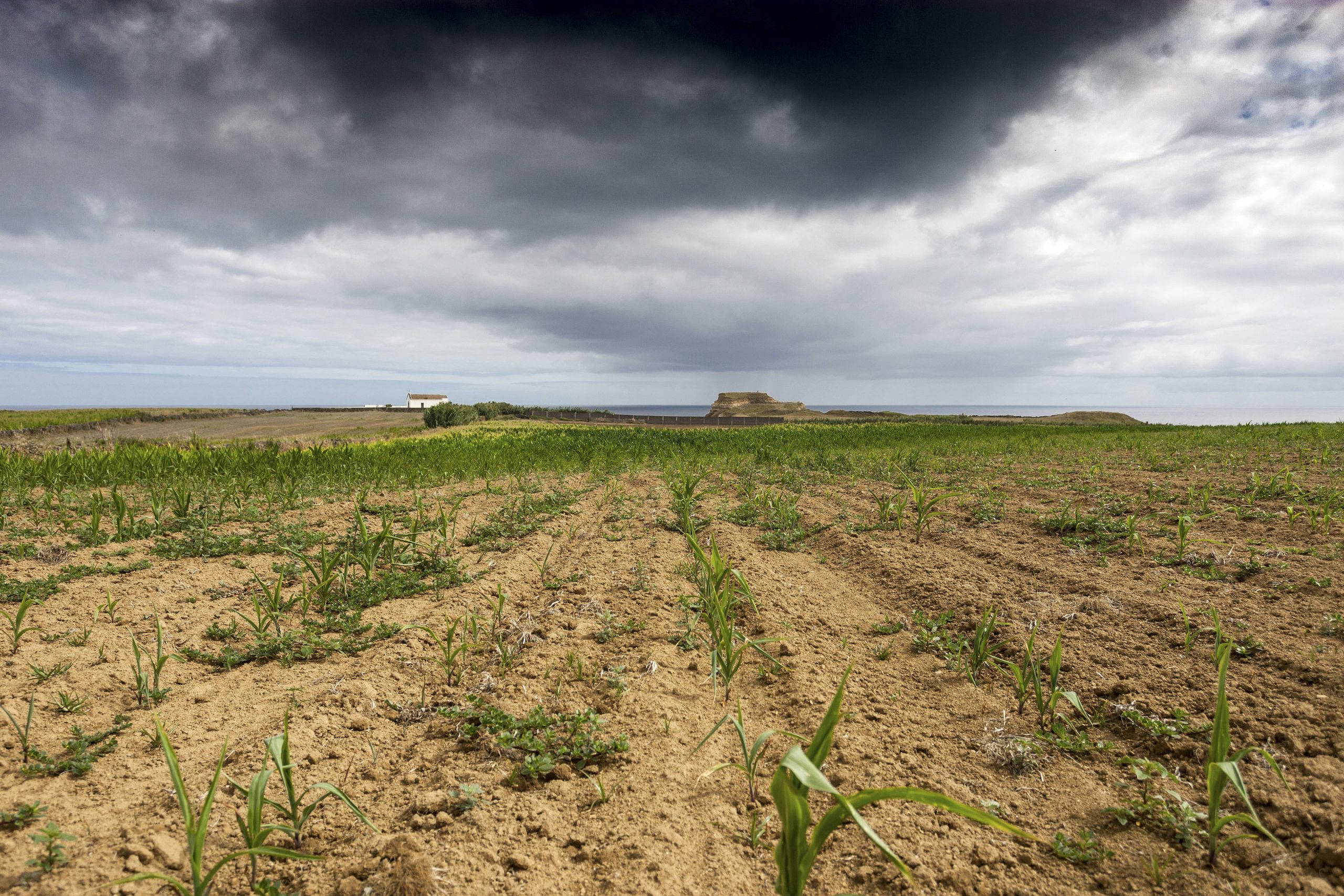 Investimento de cinco milhões para projetos de adaptação às alterações climáticas em quatro concelhos
