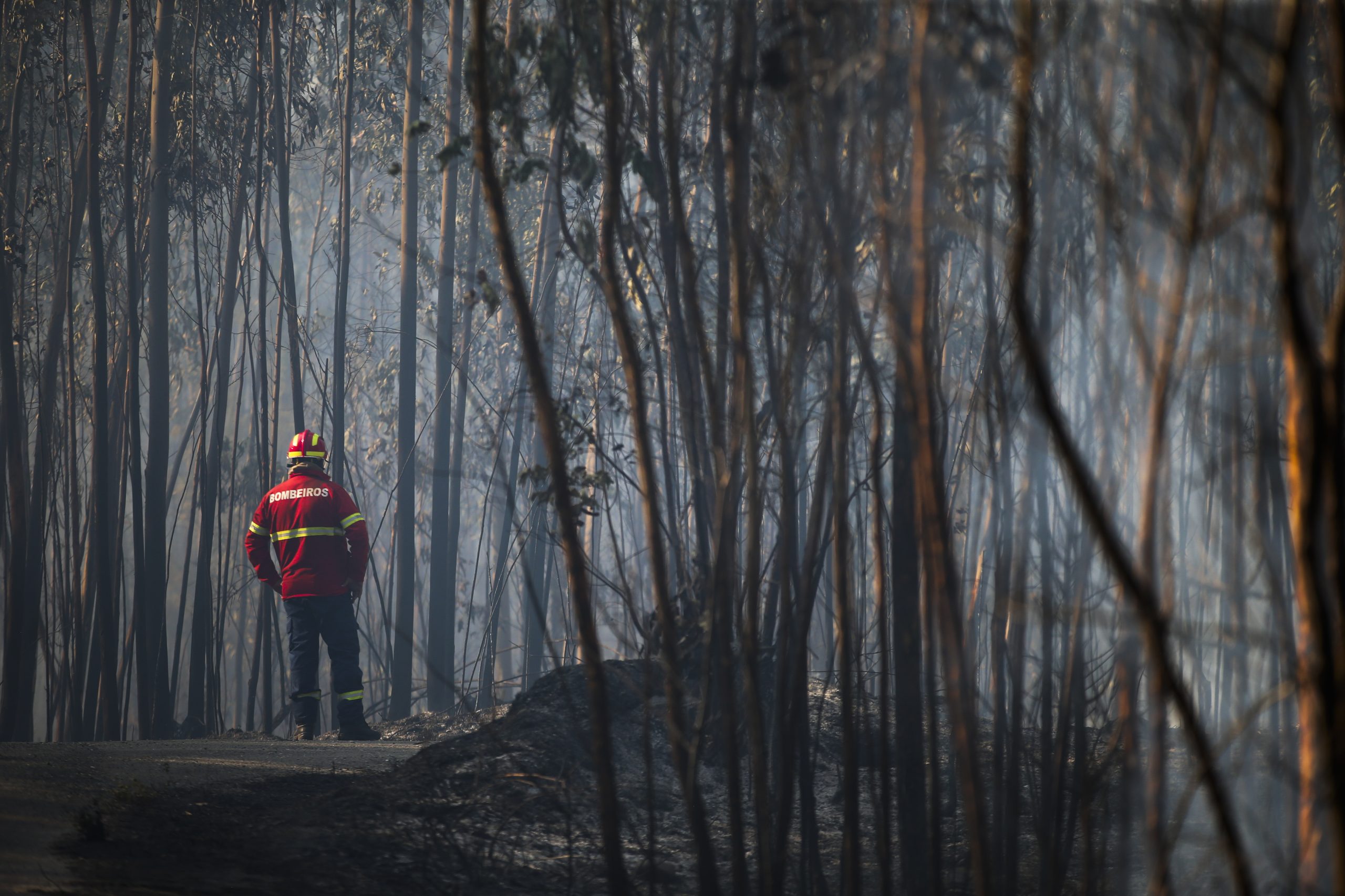 Comissão Europeia quer alterar regras após Portugal pedir 500 milhões de euros para prejuízos dos incêndios