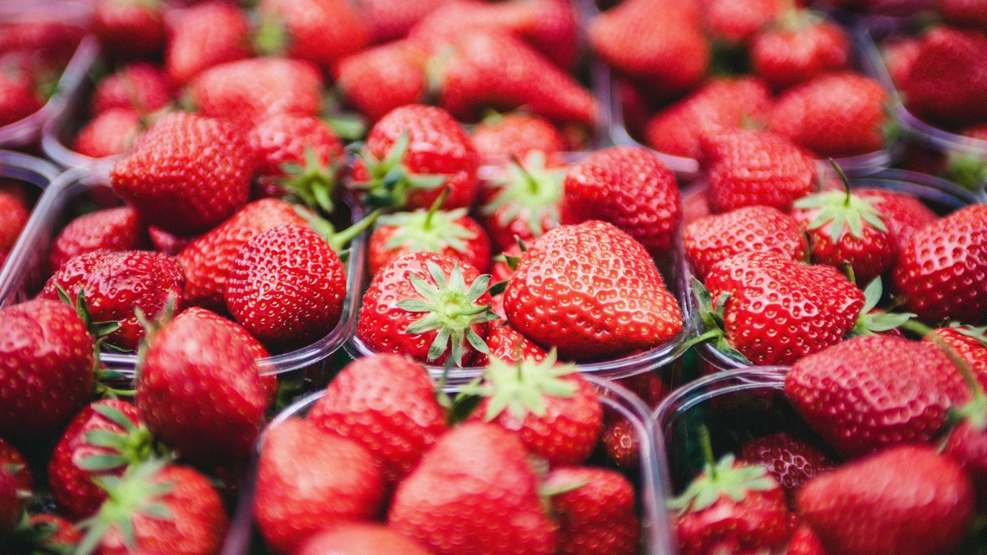 População da região centro é das que menos fuma e das que mais come vegetais e fruta