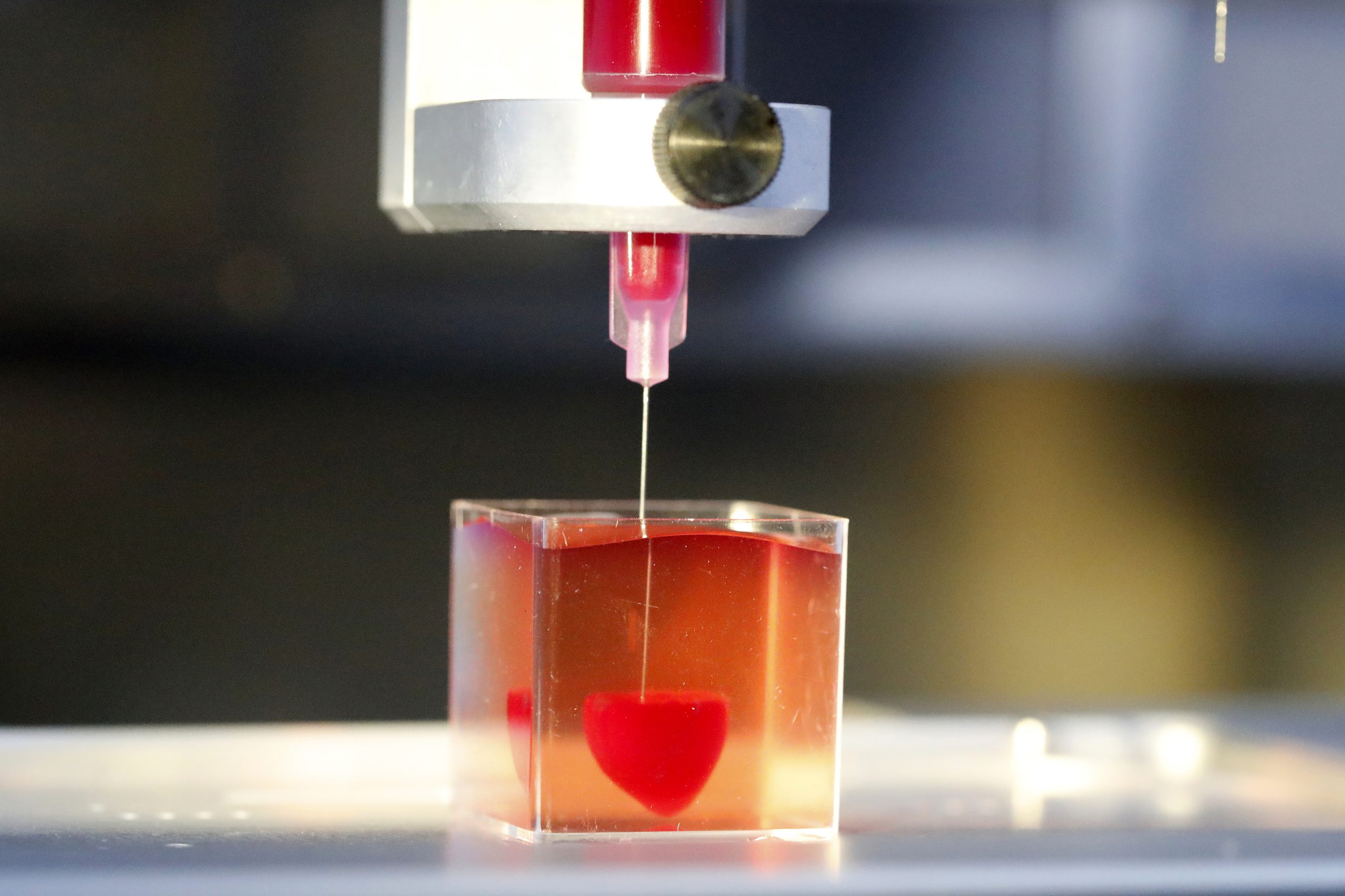 Cientistas israelitas apresentam coração impresso em 3D a partir de tecidos humanos