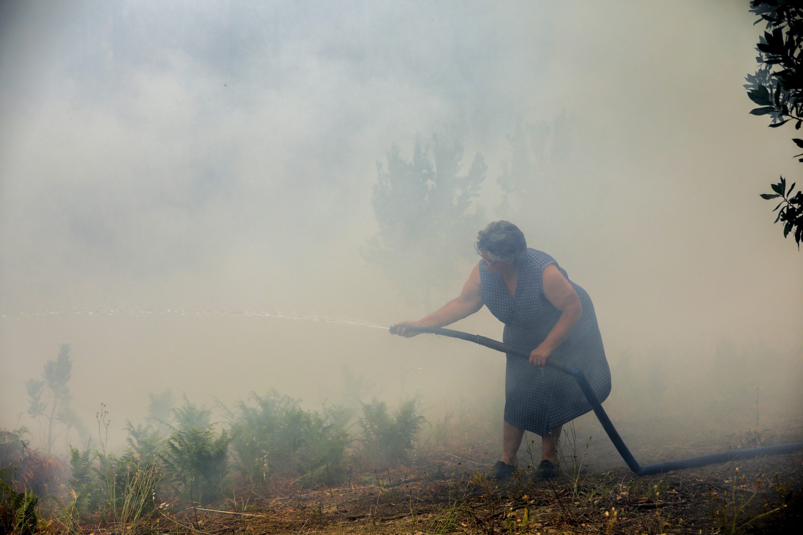 Mais de 90 concelhos de 10 distritos estão hoje em risco máximo de incêndio