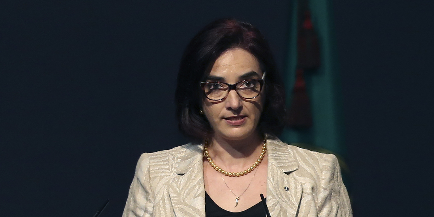 Conselho Europeu de Investigação atribui 600 mil euros a quatro cientistas portugueses