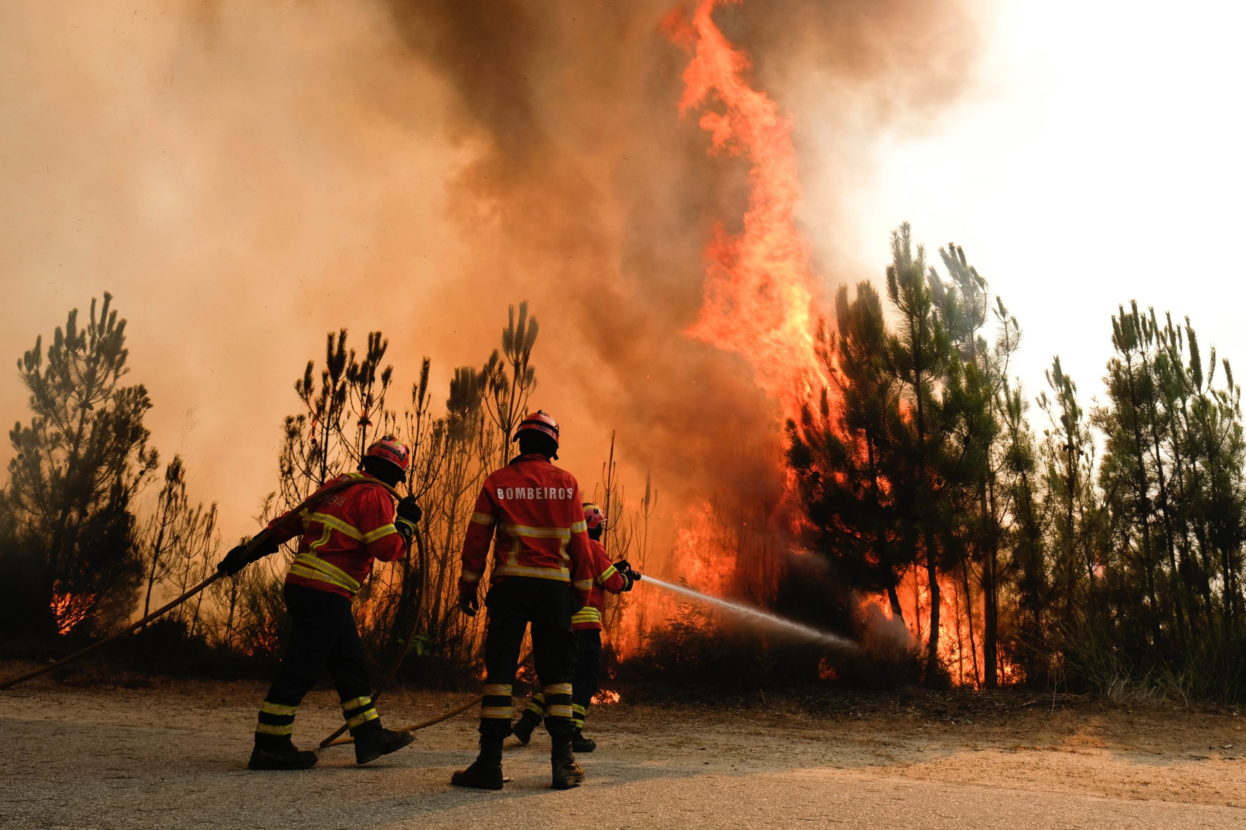 AGIF considera que Portugal continua “muito vulnerável ao risco de incêndio”