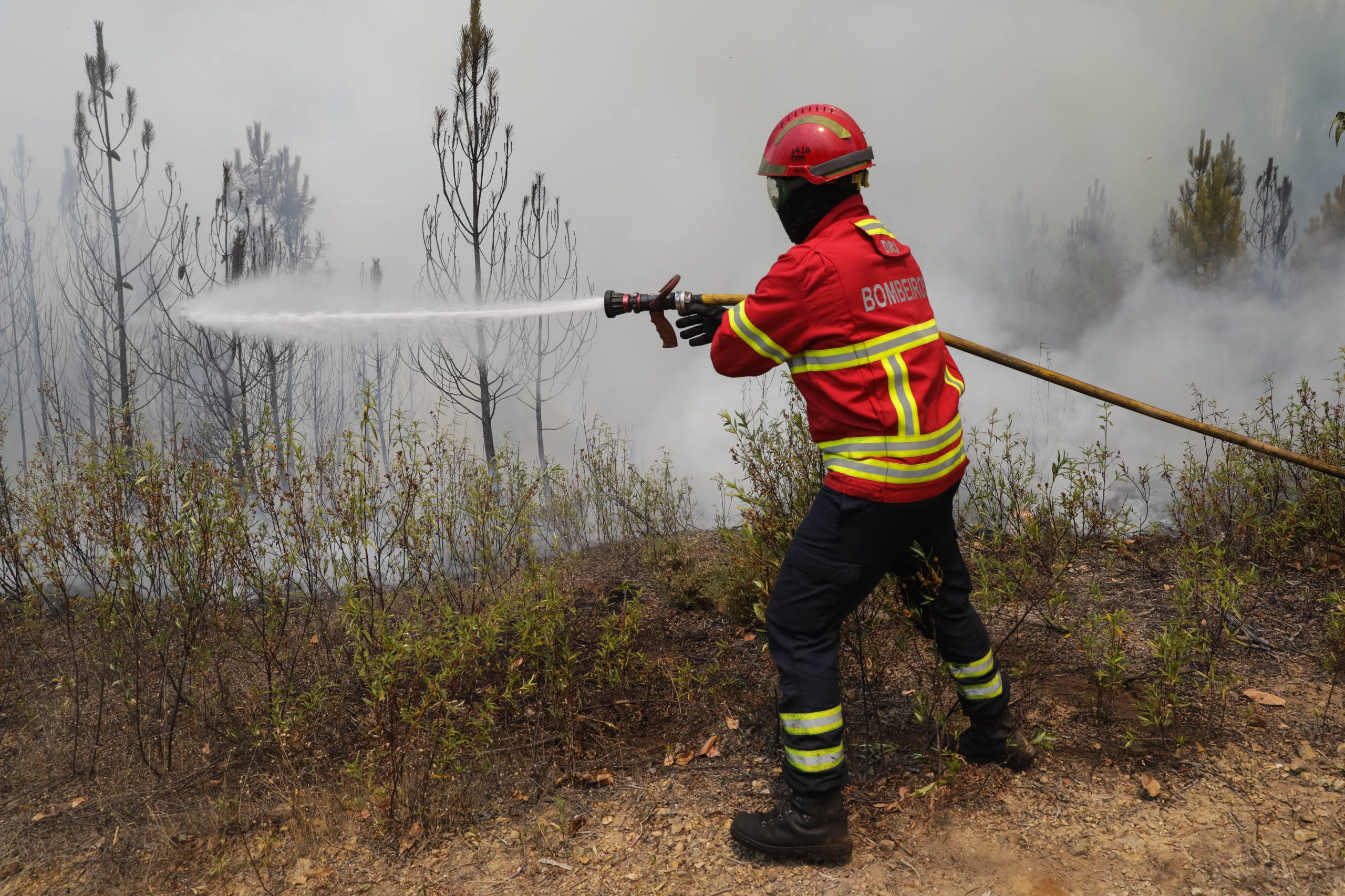 Incêndios: Fogo em Castelo Branco em fase de resolução