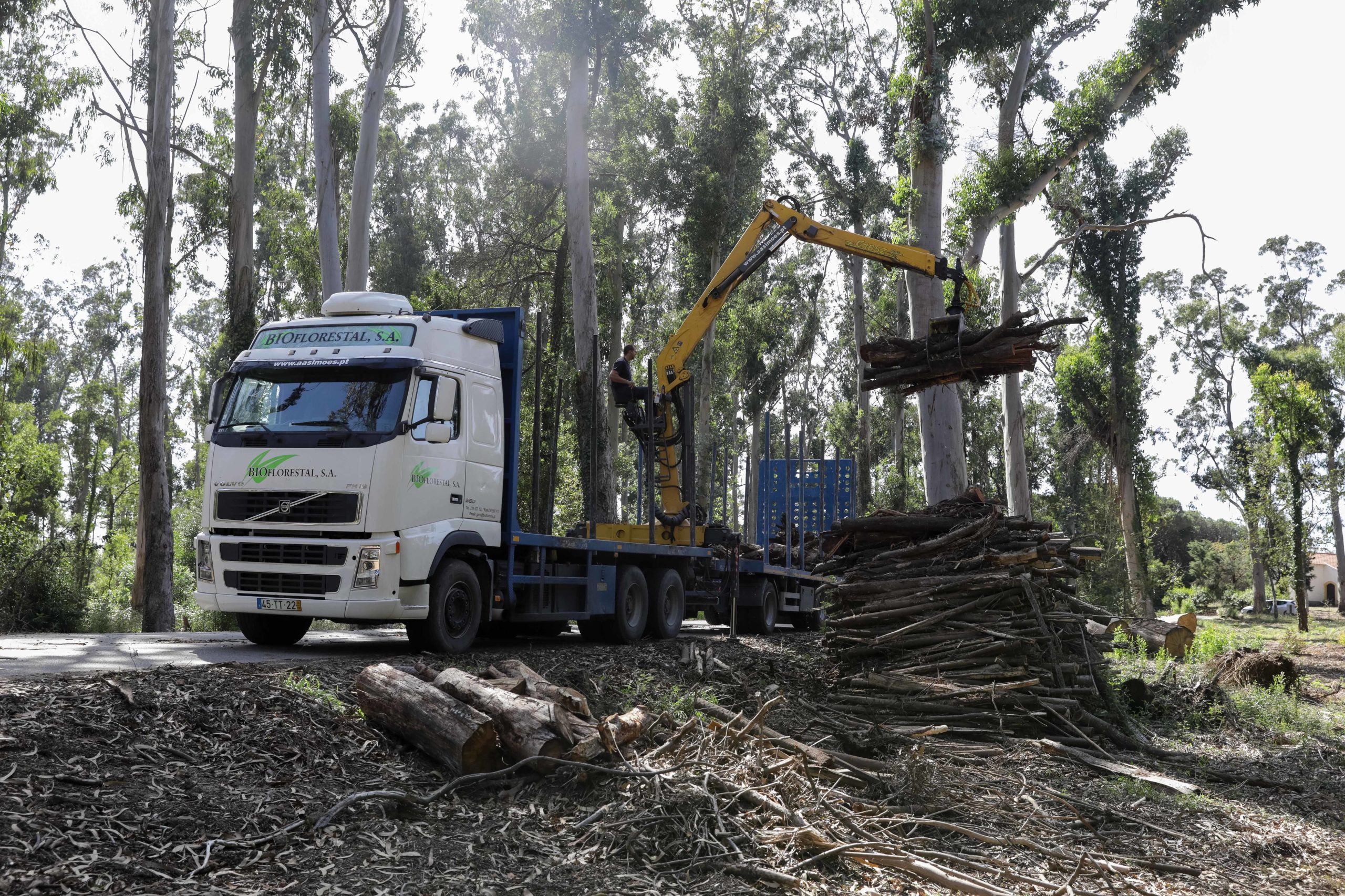 Tempestade Leslie: Sete empresas afetadas recorreram a linha de crédito aberta pelo Governo para reconstrução