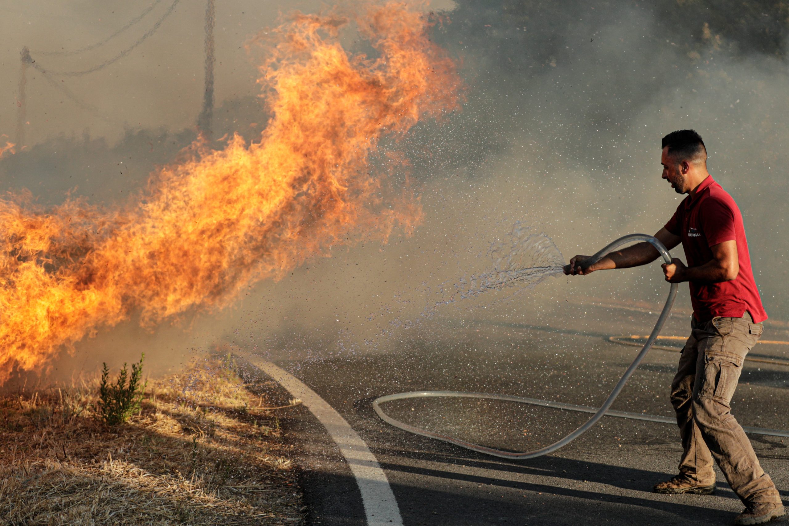 Seis concelhos do distrito de Faro em perigo máximo de incêndio