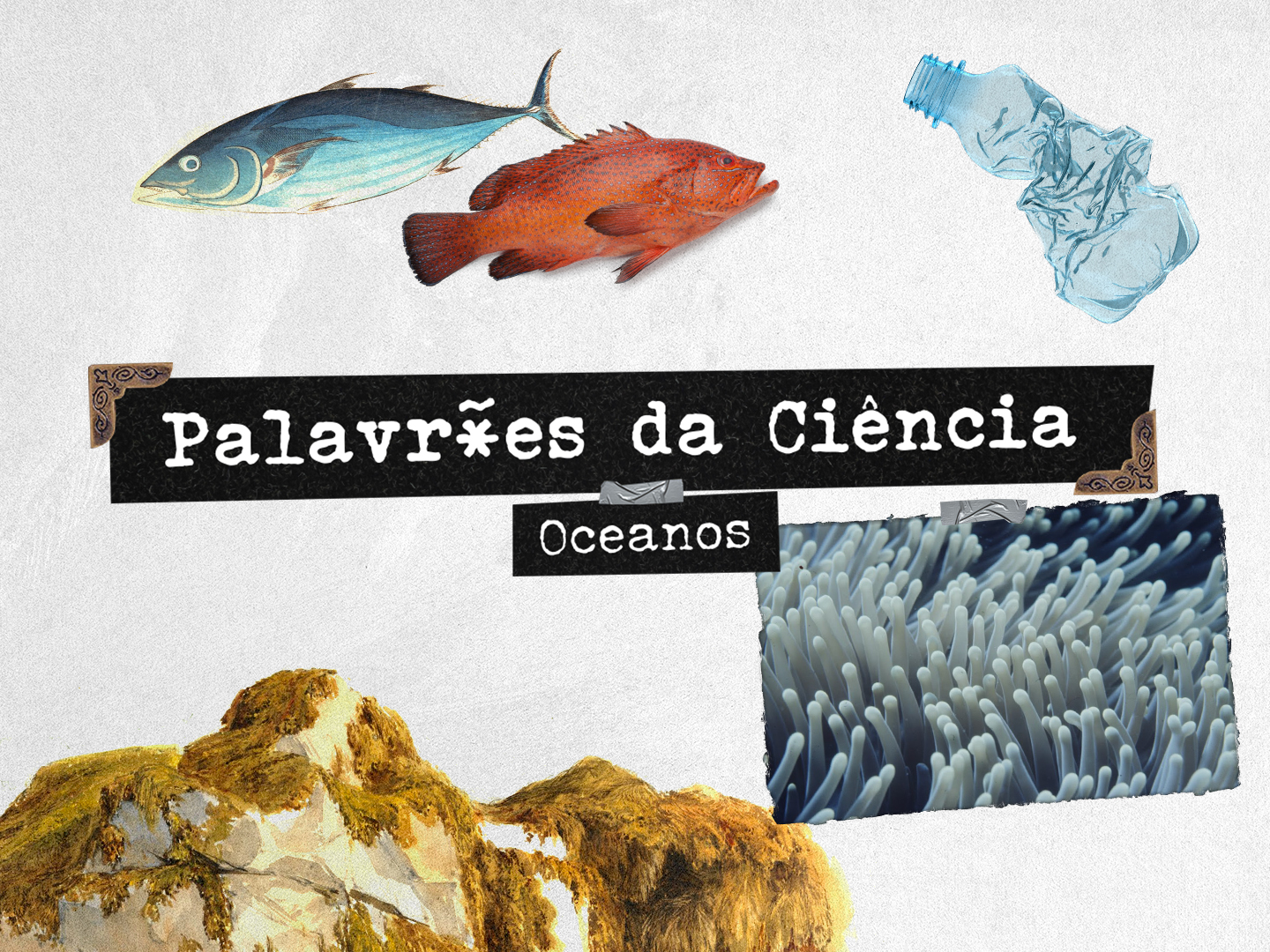 Afinal, o que sabemos nós sobre o mar?
