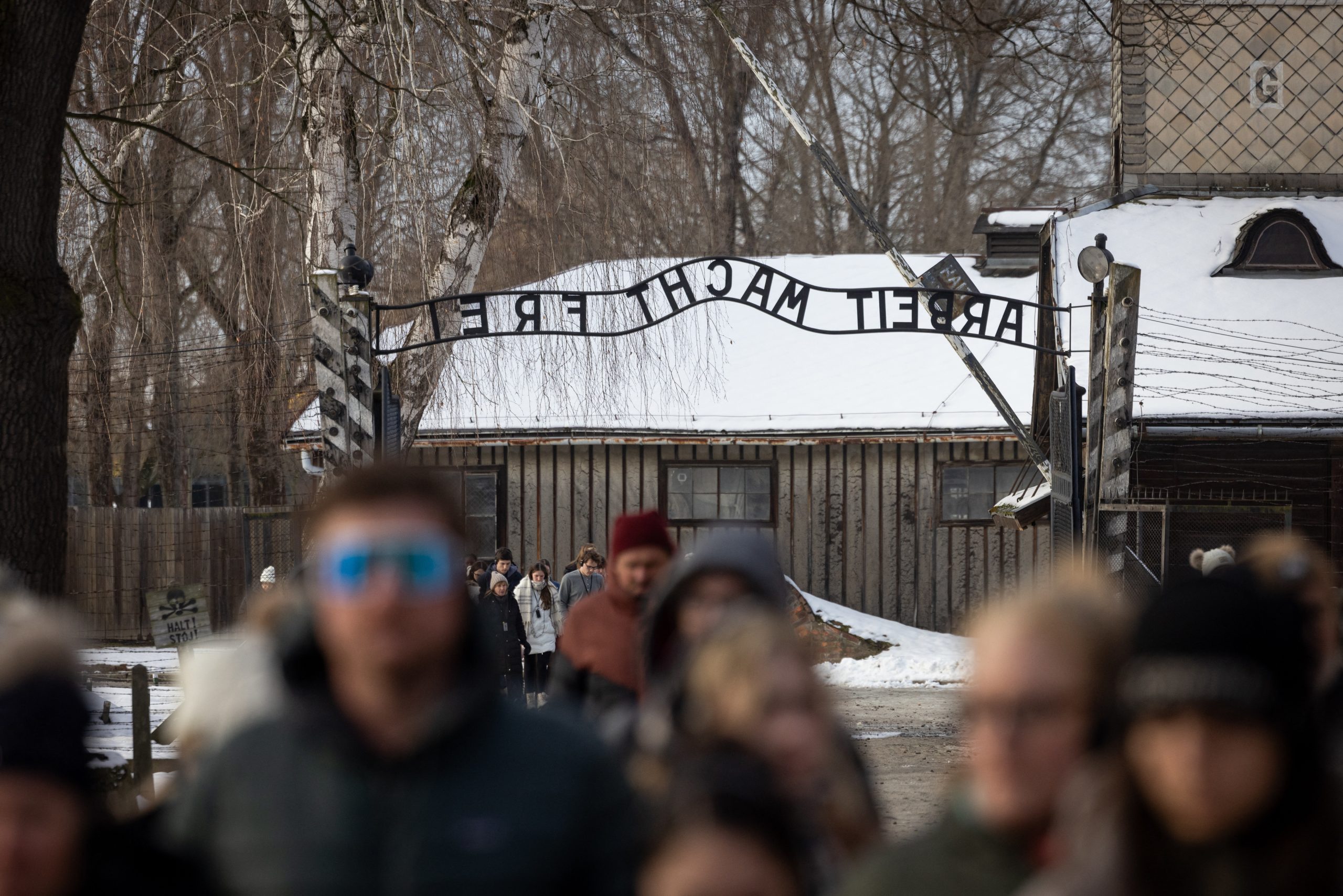 Sobreviventes, realeza e líderes mundiais reúnem-se em Auschwitz para comemorar 80 anos da libertação. Pode acompanhar em direto