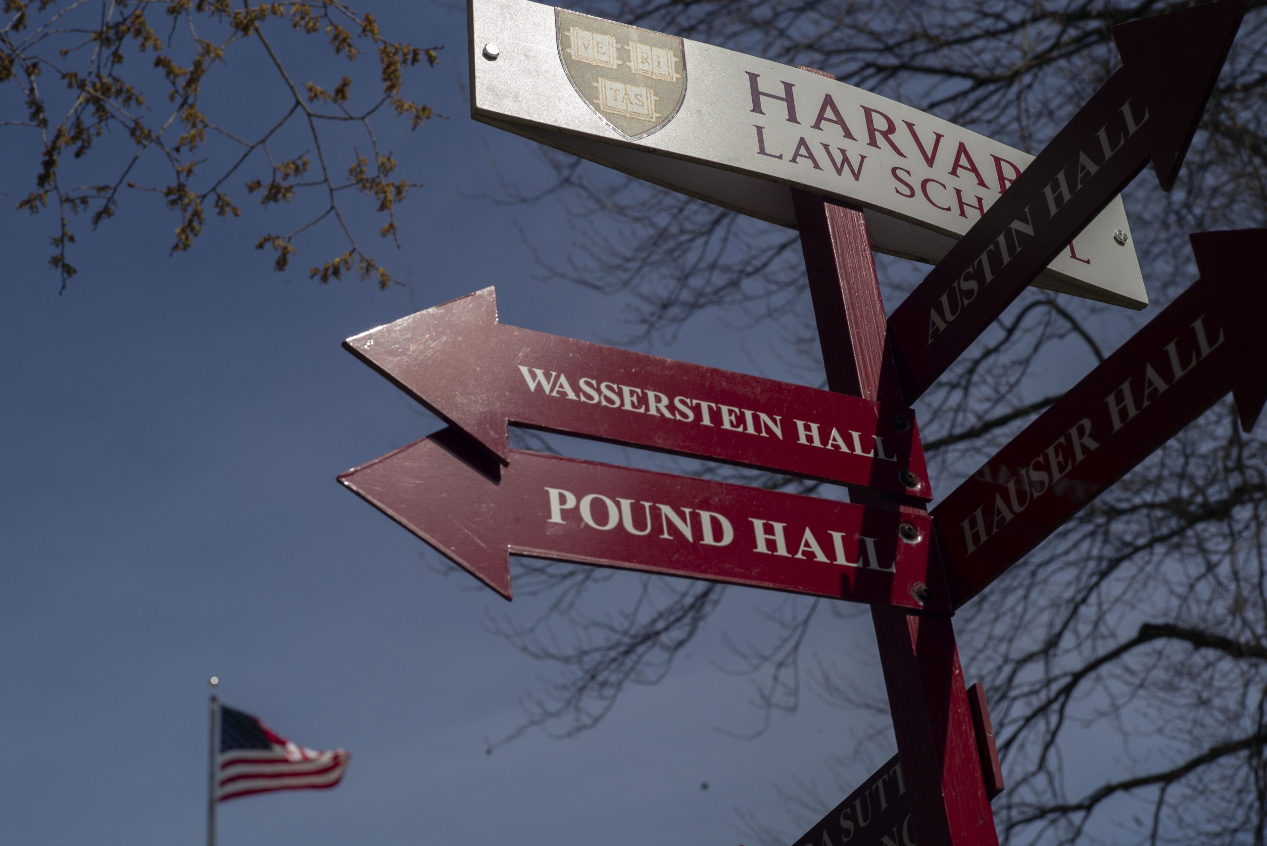 Governo dos EUA ameaça impedir Harvard de matricular estudantes estrangeiros