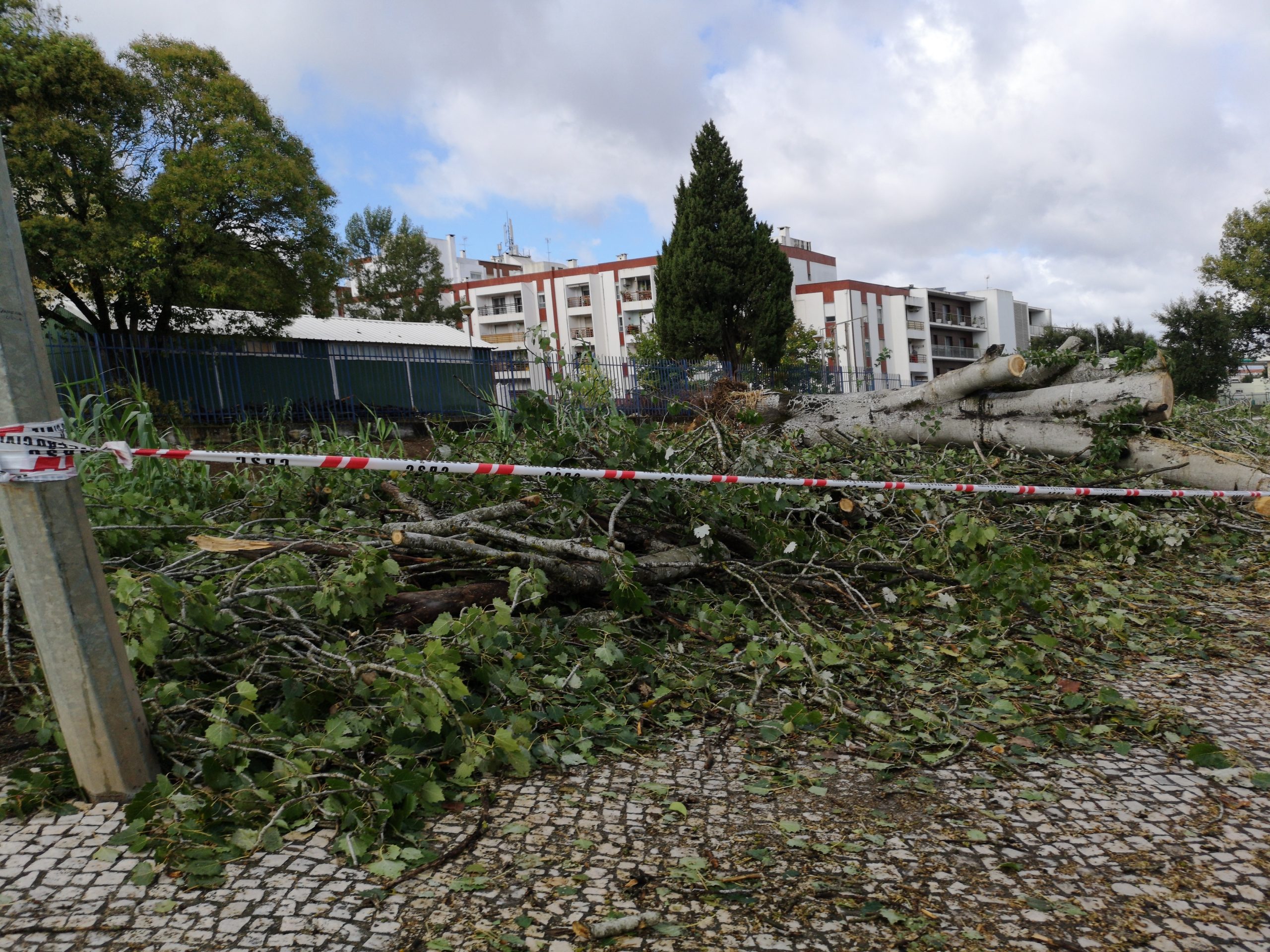 Mau Tempo: Parlamento solidário com populações afetadas pela tempestade Leslie