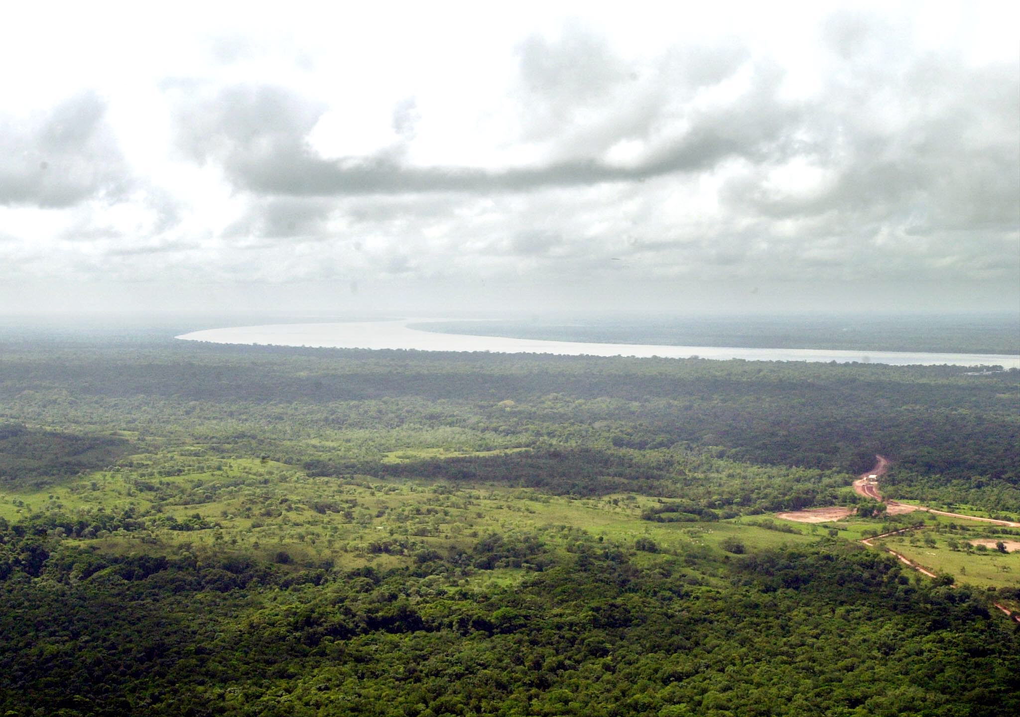 Aliança para a proteção das florestas tropicais apela para ações contra desflorestação