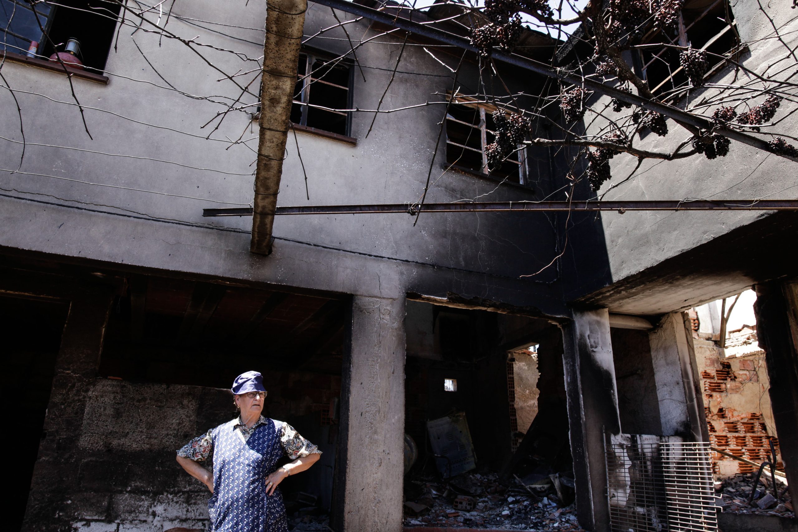 Incêndios: Cáritas Coimbra vai reconstruir 40 casas afetadas pelas chamas na região Centro