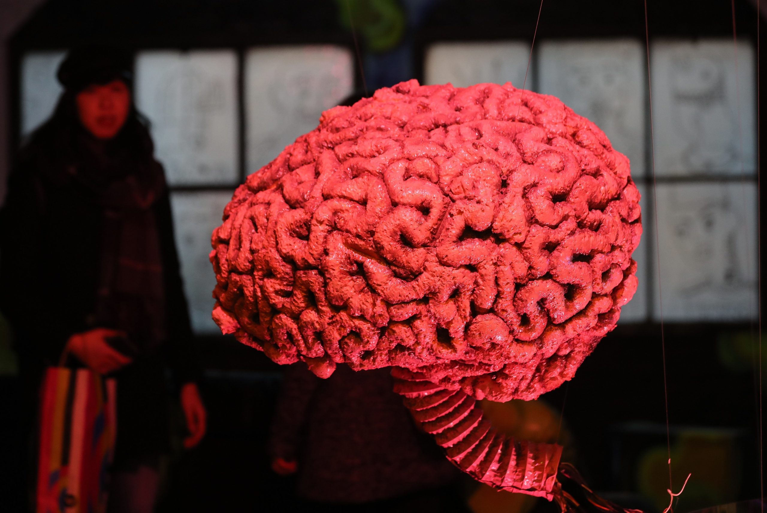 Projeto para estudar doença obsessivo-compulsiva vence prémio FLAD de Saúde Mental