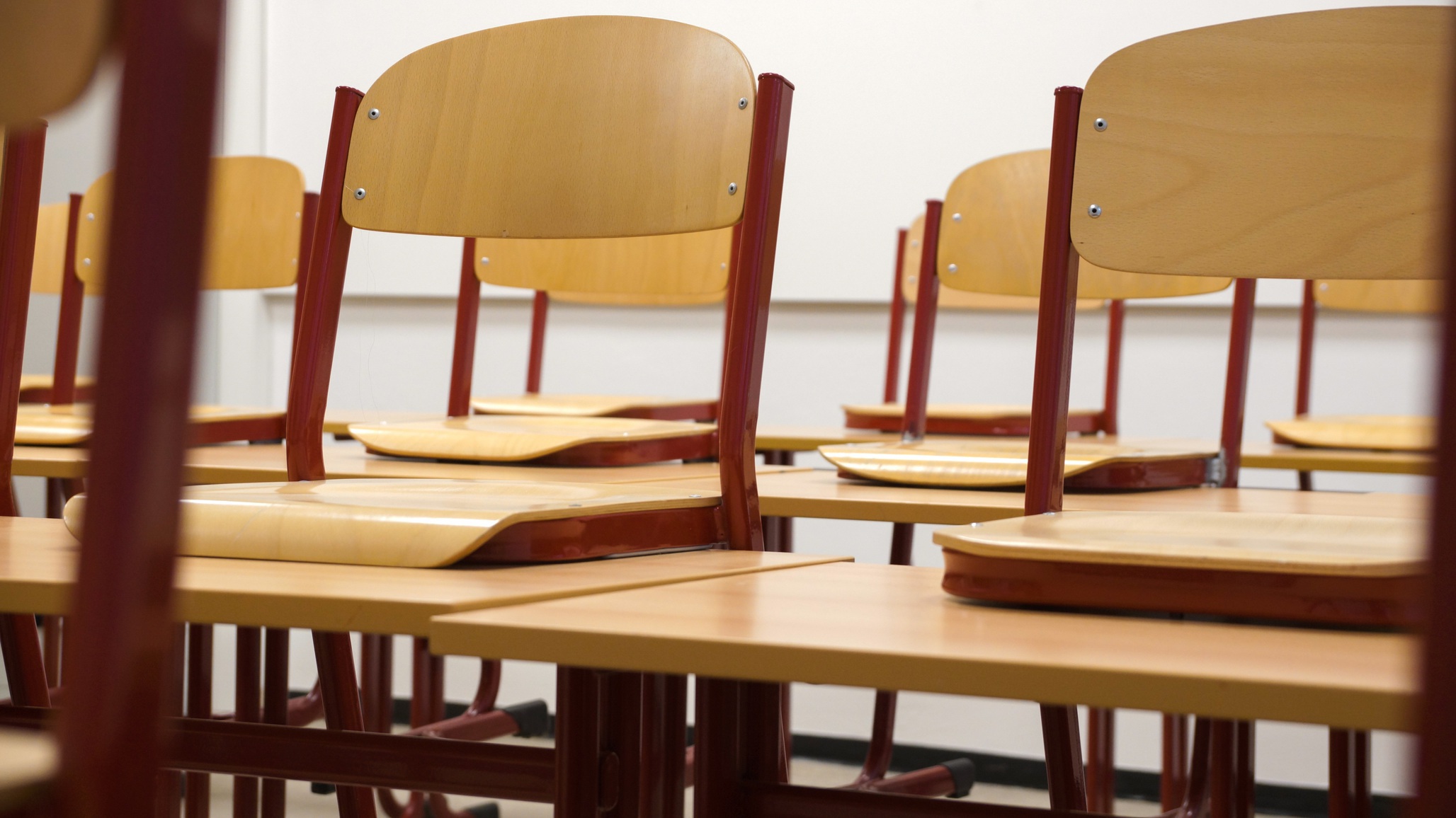 Pedrógão Grande: Empresários para a Inclusão Social apoiam jovens estudantes