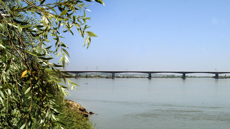 Crescimento rápido de algas é frequente no Tejo entre final da primavera e início de outono