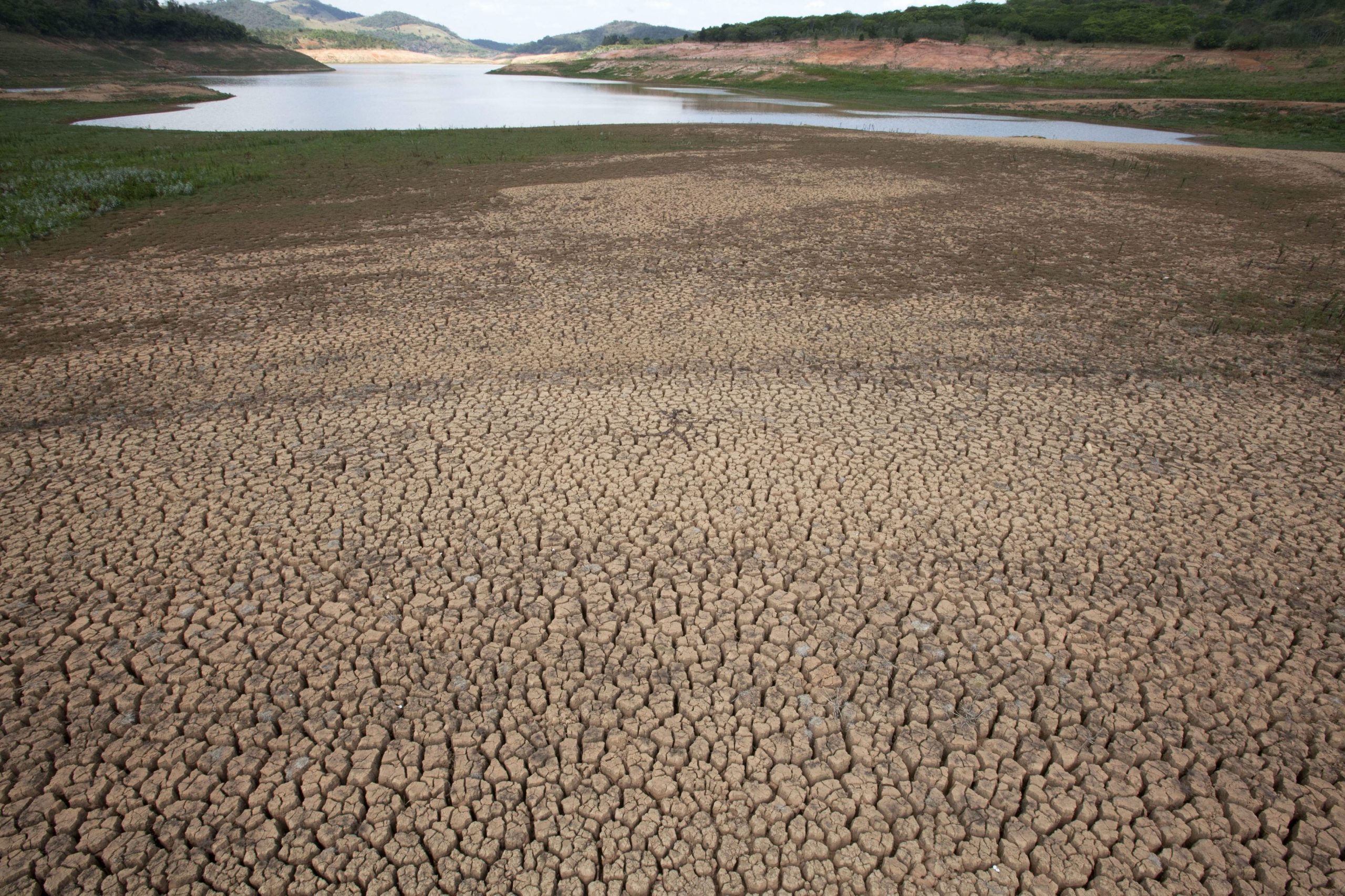 Alterações climáticas principal causa da perda de biodiversidade em 2050
