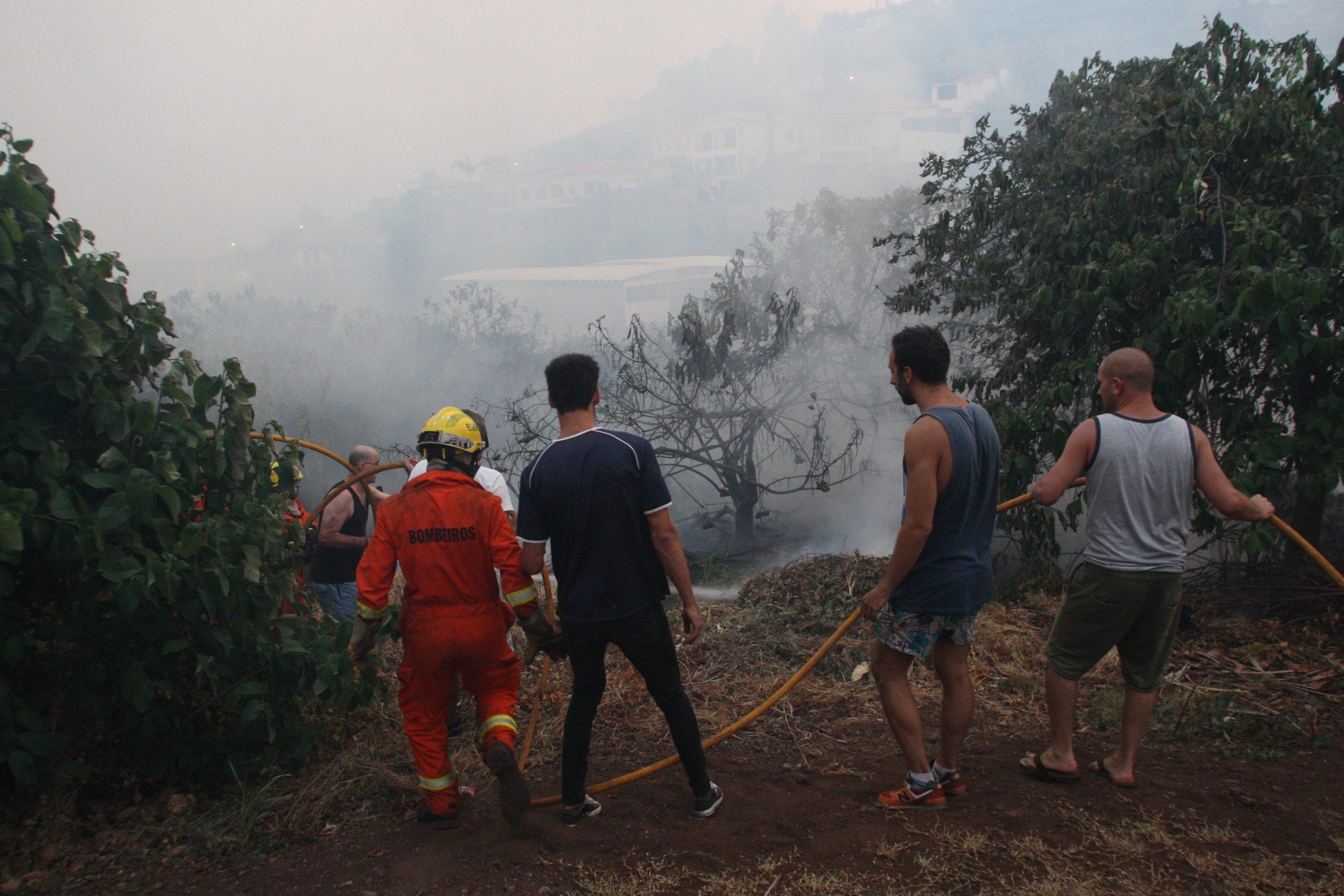 Madeira: Fogo em Câmara de Lobos lavra com uma frente ainda ativa