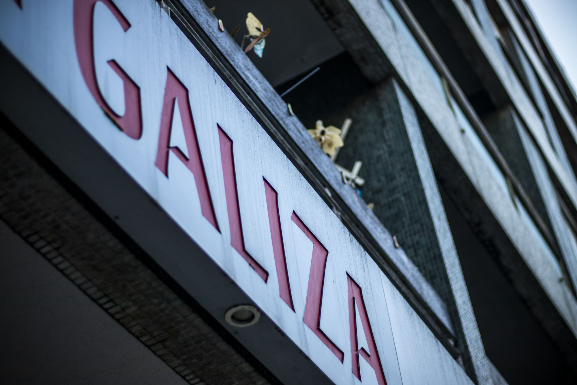 Investidores para Cervejaria Galiza no Porto dão esperança a trabalhadores