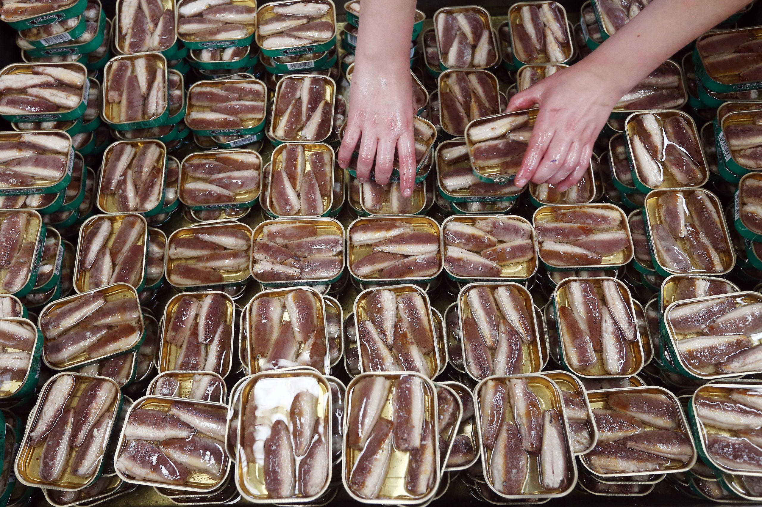 Contra-análise prova que sardinhas DIA retiradas estavam aptas para consumo, revela empresa produtora