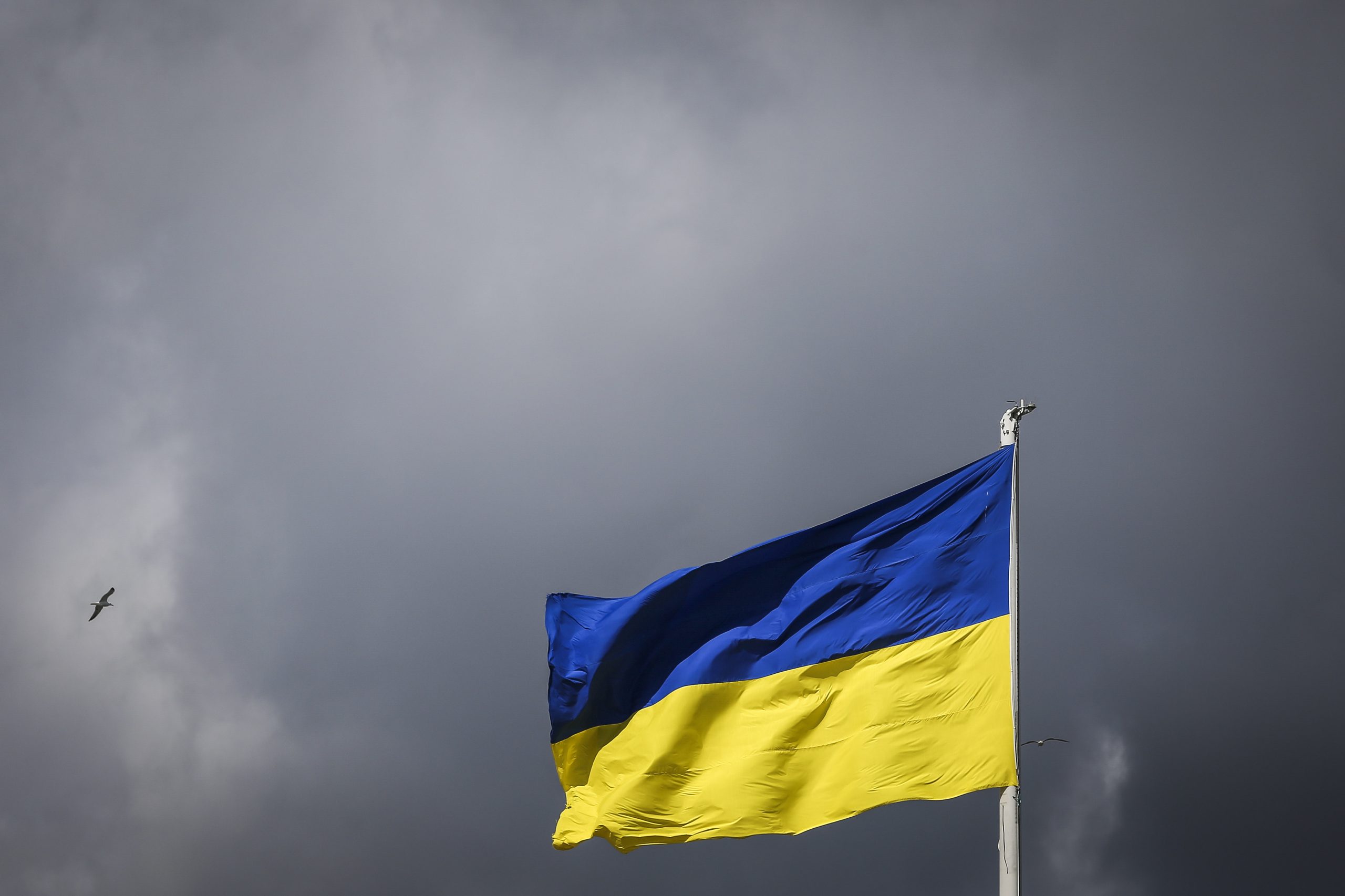 Ucrânia: corrupção na energia leva a demissão de chefe de gabinete de Zelensky