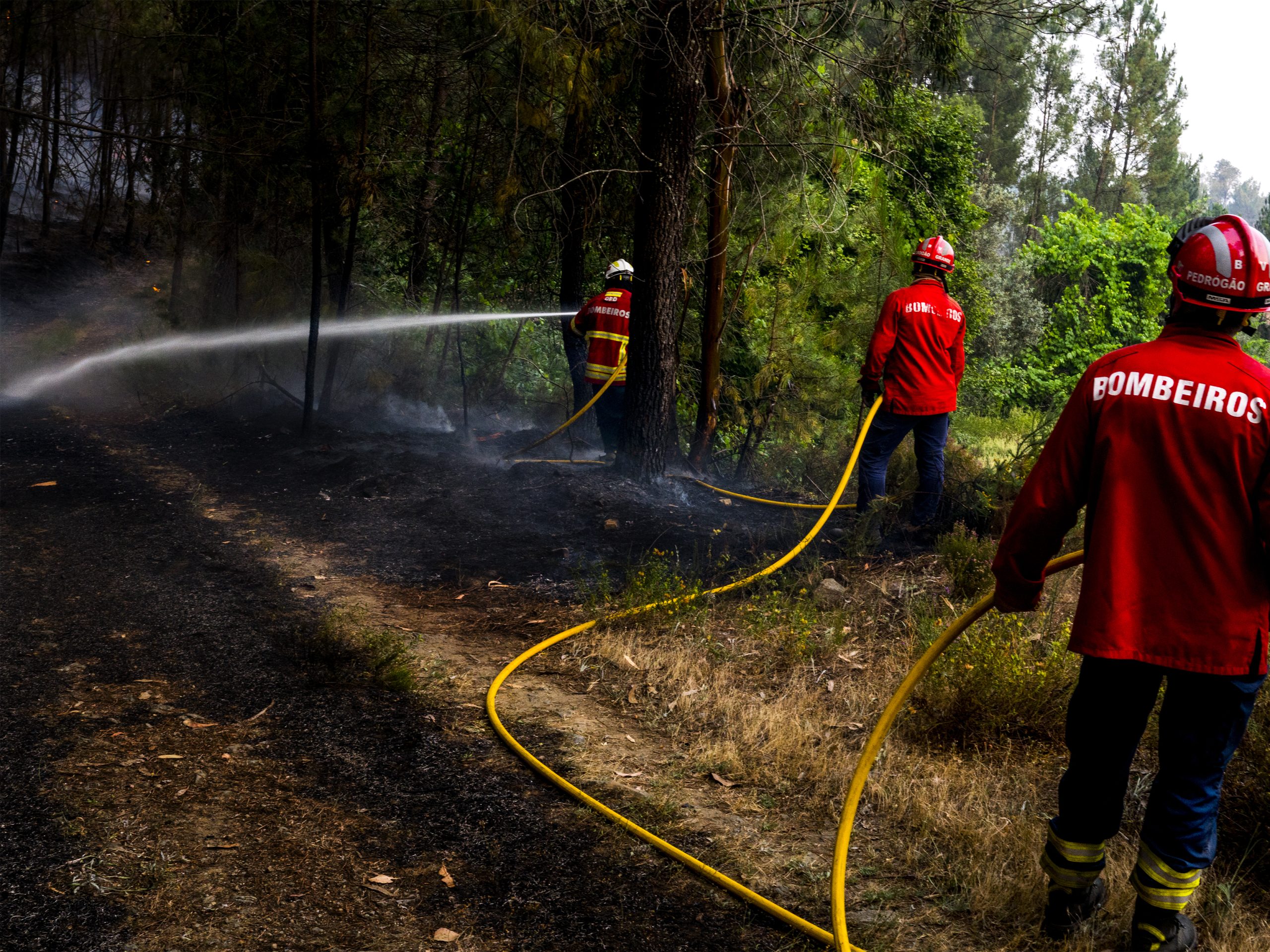 Góis: Voluntários trabalham sem parar para dar de comer e beber a mais de mil bombeiros