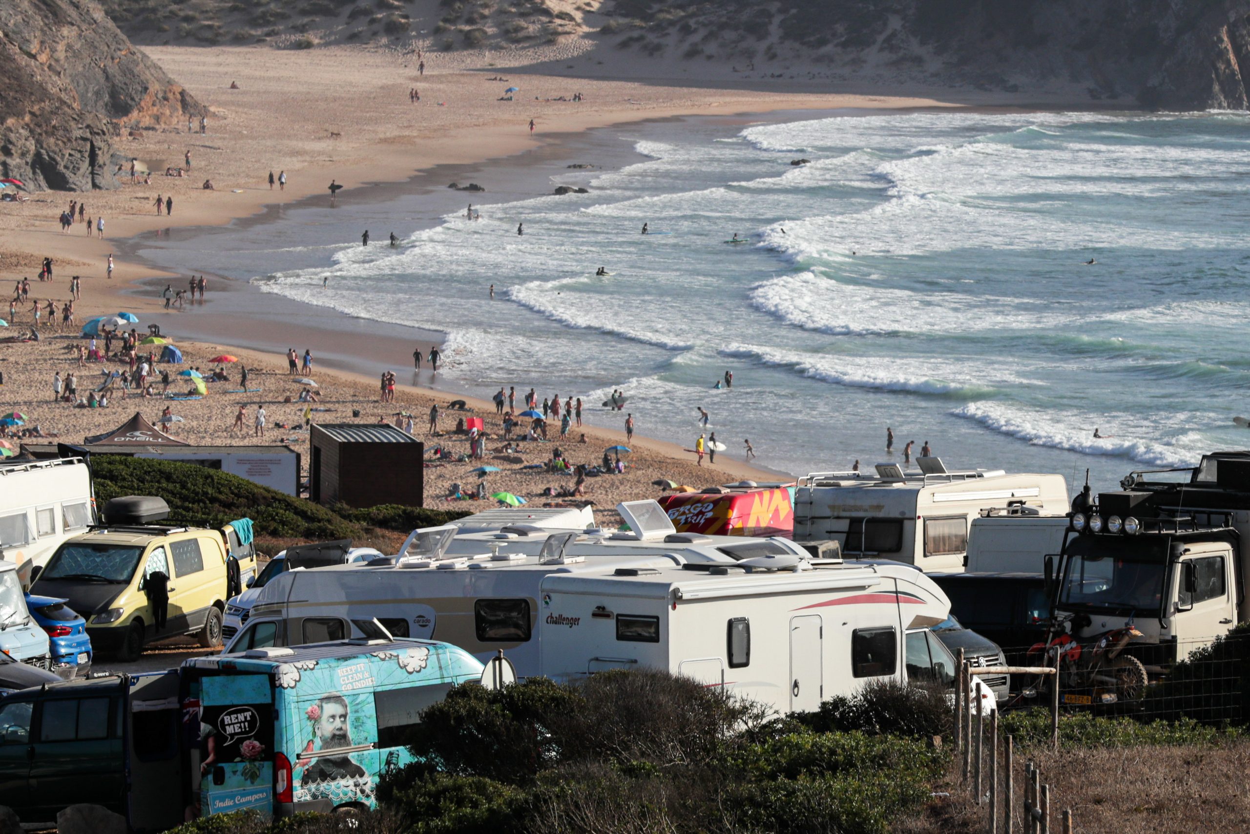 Universidade de Évora descobre nova espécie de planta na Costa Vicentina