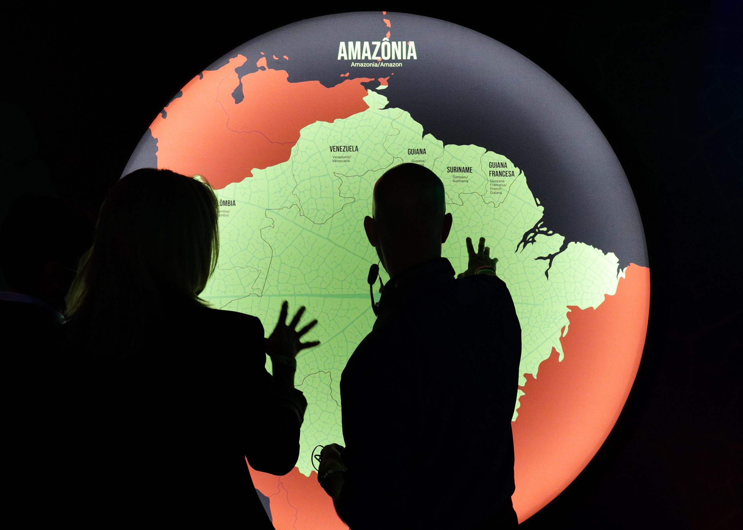 Investigadoras sugerem que próxima pandemia pode surgir da Amazónia