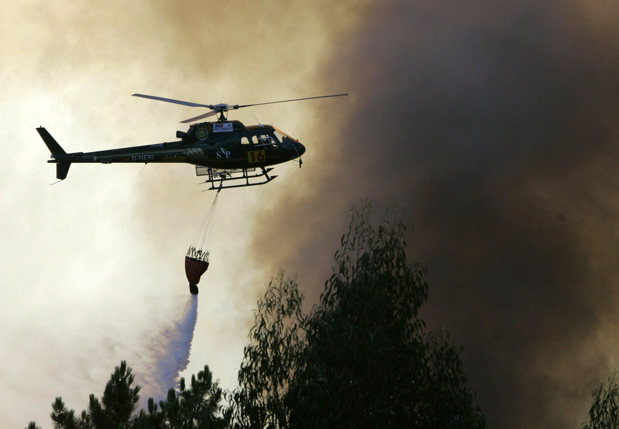 Incêndios em 2022: Mais de 10 mil incêndios florestais e um aumento de 26% face a 2021, diz novo relatório