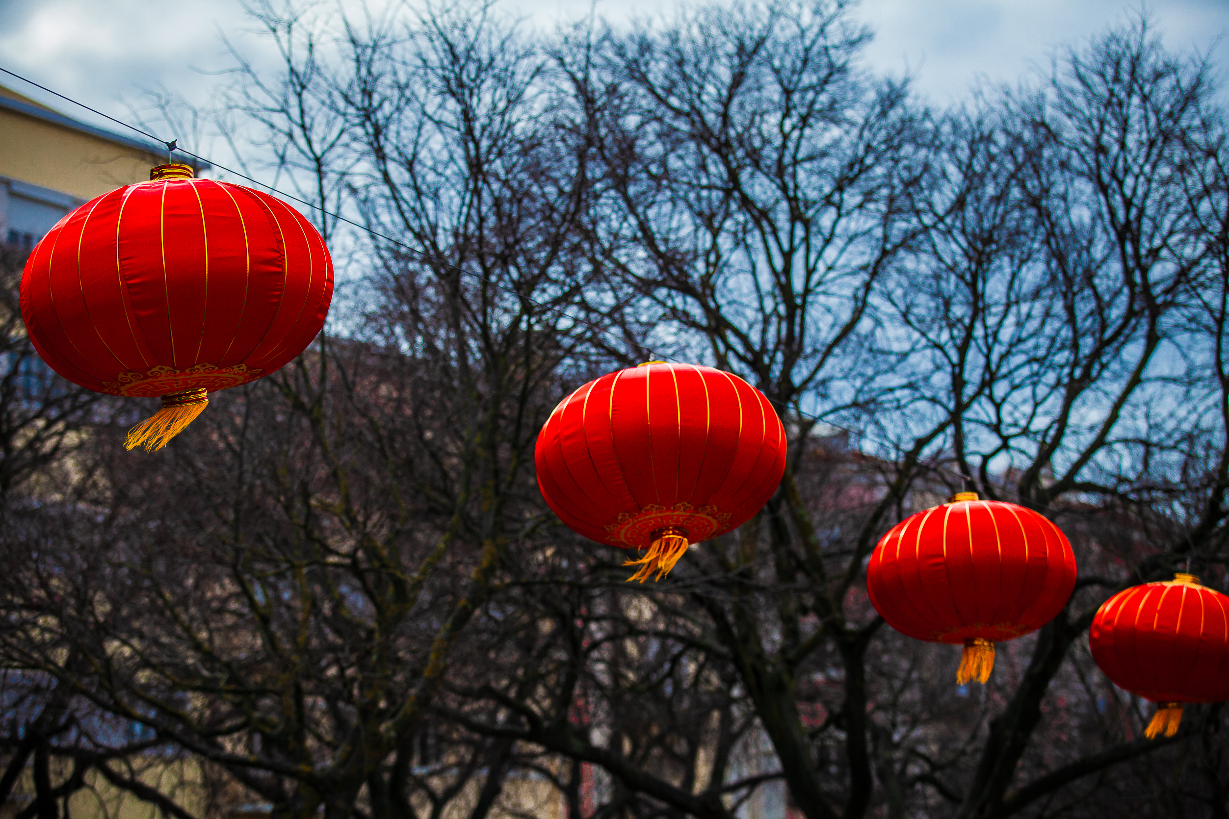Chineses em Portugal convidam secretária de Estado para visitar lojas e restaurantes