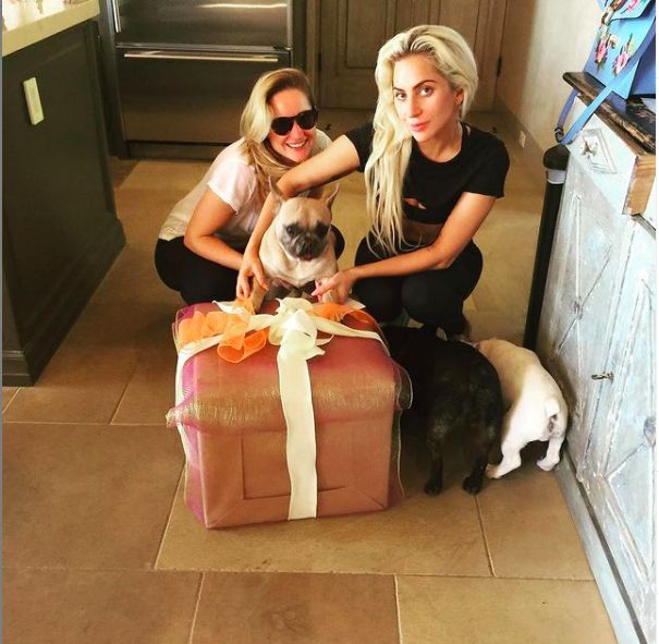 Cães de Lady Gaga roubados em ataque à mão armada. Meio milhão de dólares a quem os recuperar