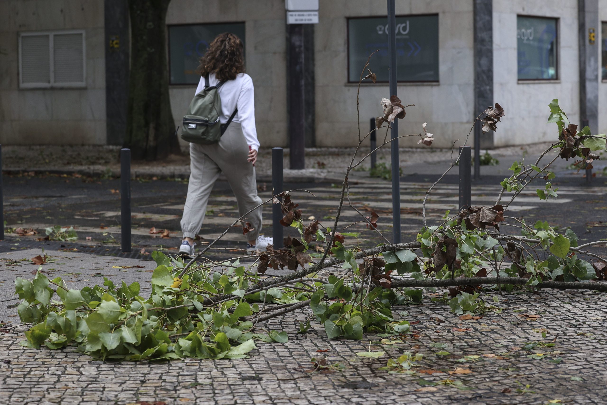 Mau tempo: Portugal continental com mais de mil ocorrências. Sábado promete ser pior