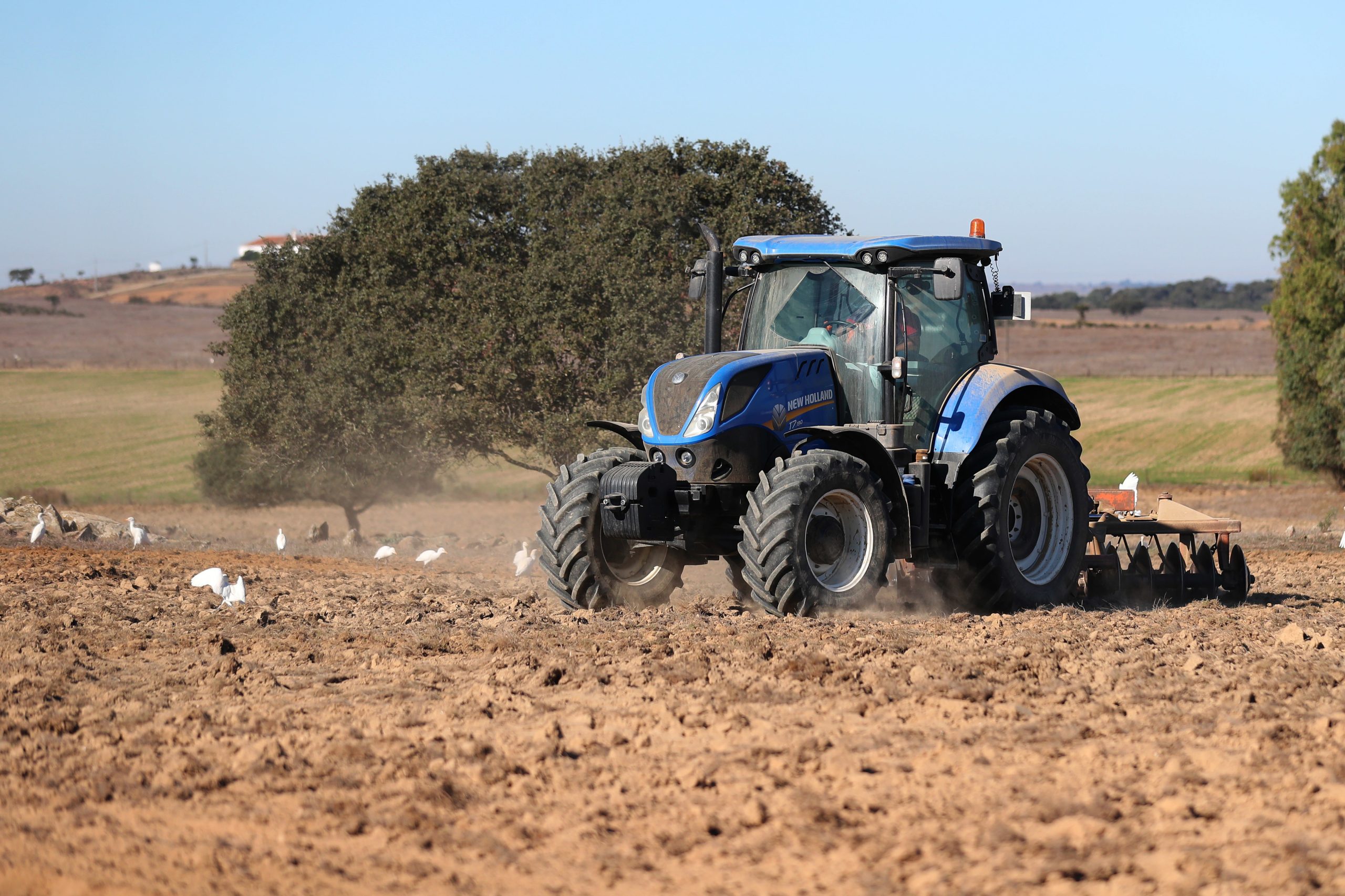 Há cada vez mais agricultores a abandonar a atividade em Portugal. Bruxelas quer contratos escritos com agricultores na cadeia alimentar
