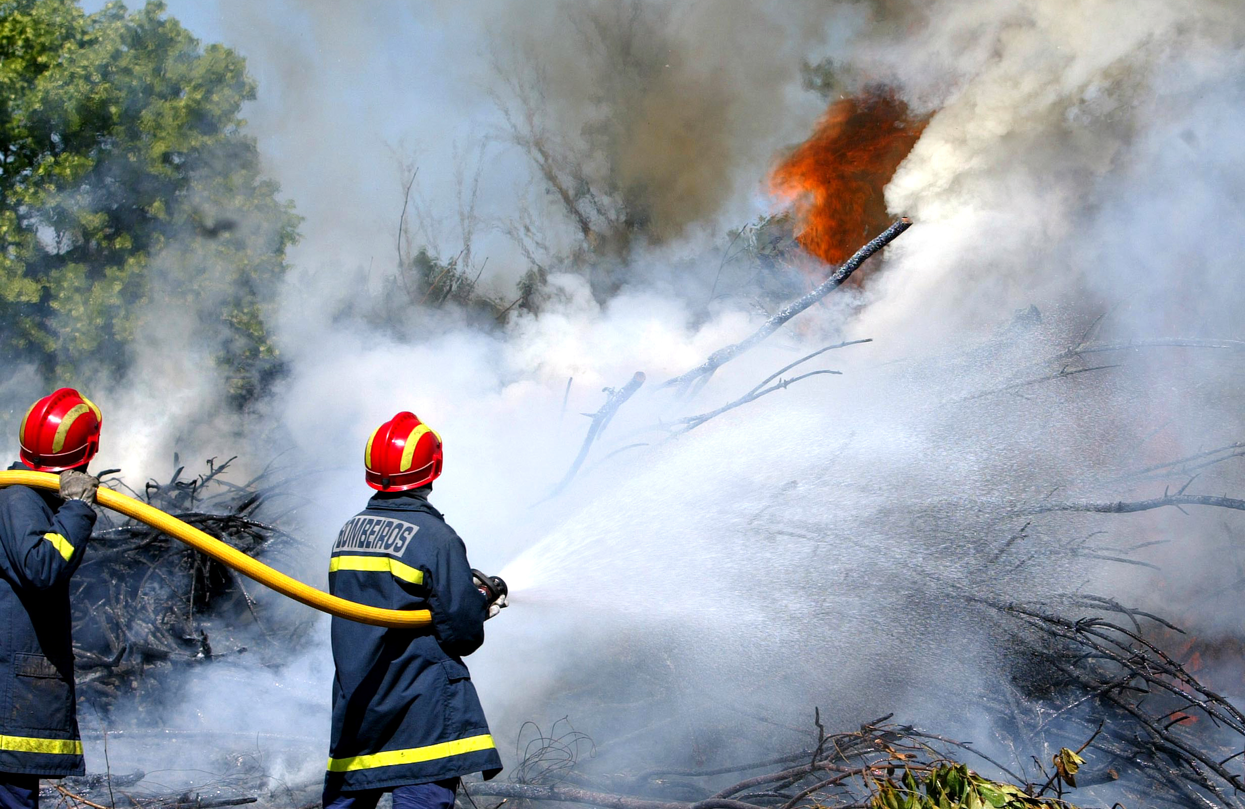 Cerca de 40 concelhos de seis distritos em perigo máximo de incêndio