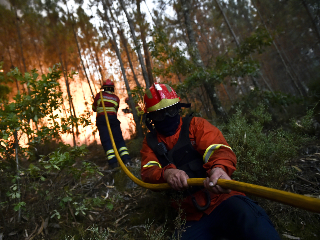 Incêndios: Mais de uma centena de bombeiros combatem fogo florestal em Oliveira de Frades