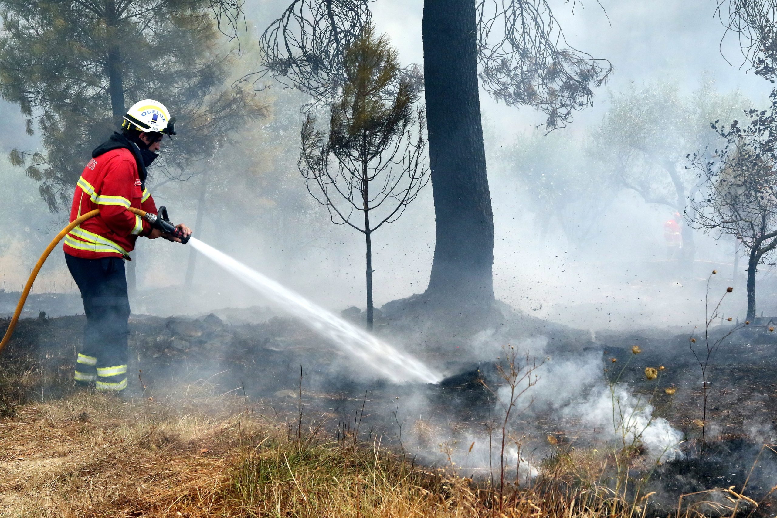Incêndios: Fogo de Vila de Rei e Mação dominado