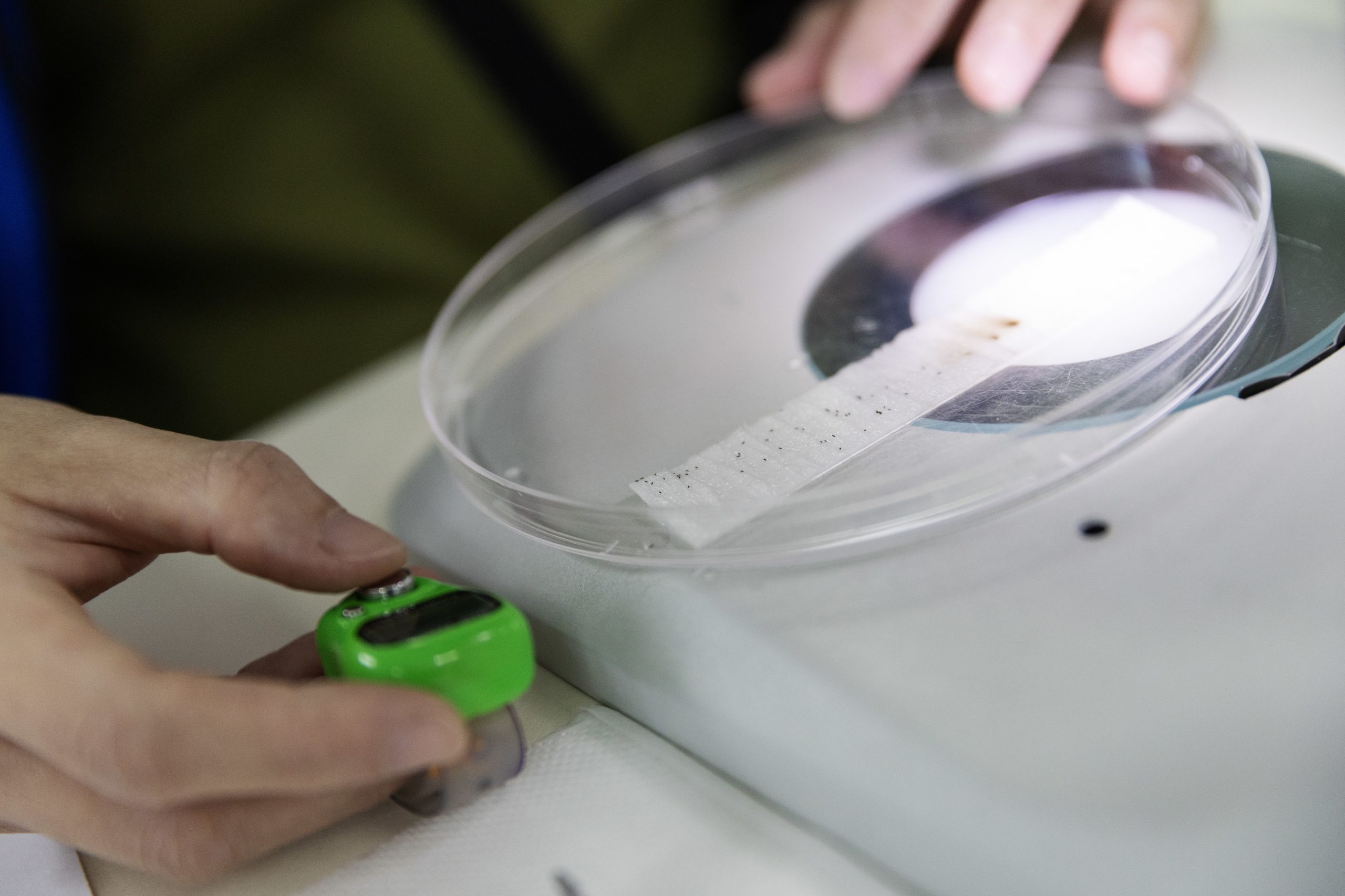 Cidade brasileira começa vacinação pioneira em massa contra a dengue